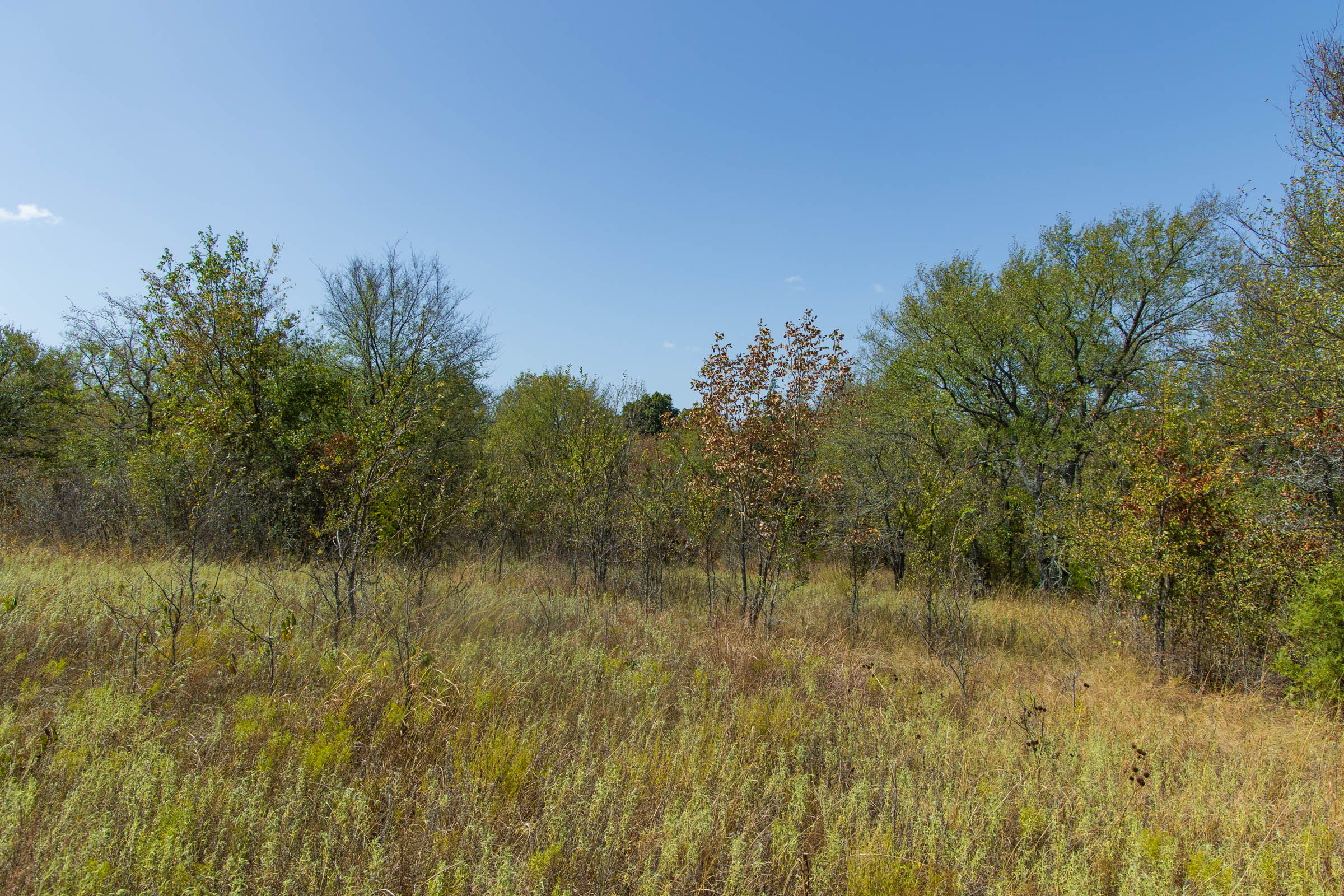 Gracyn Meadows Tract 16 photo 10