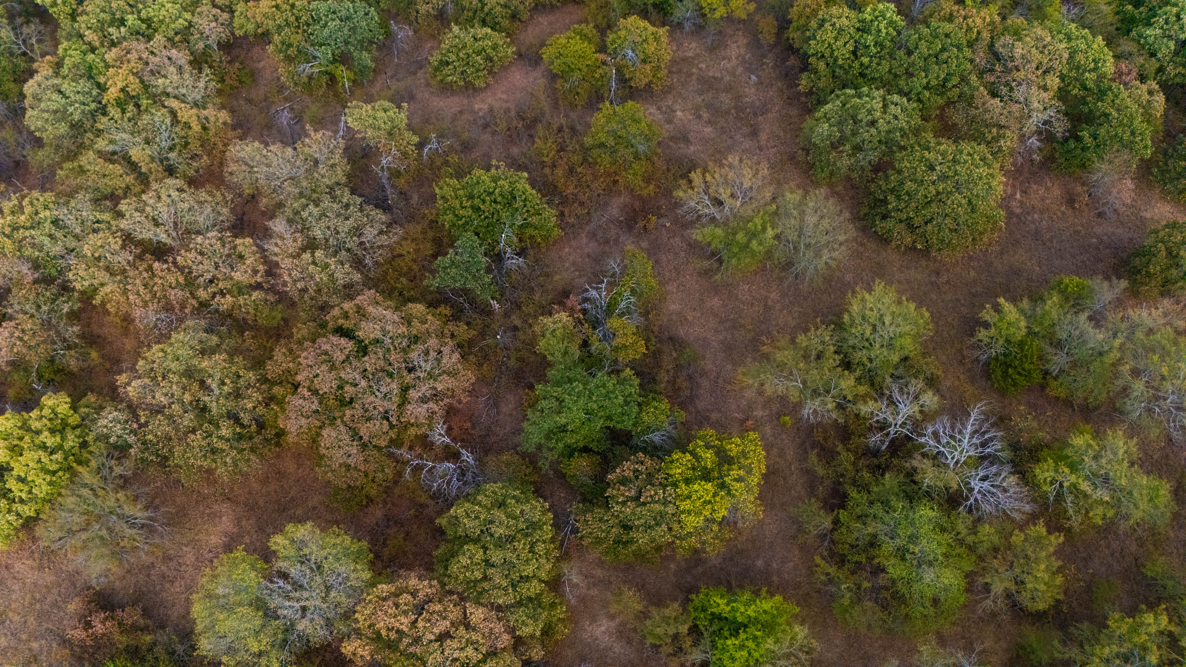 Gracyn Meadows Tract 16 photo 1