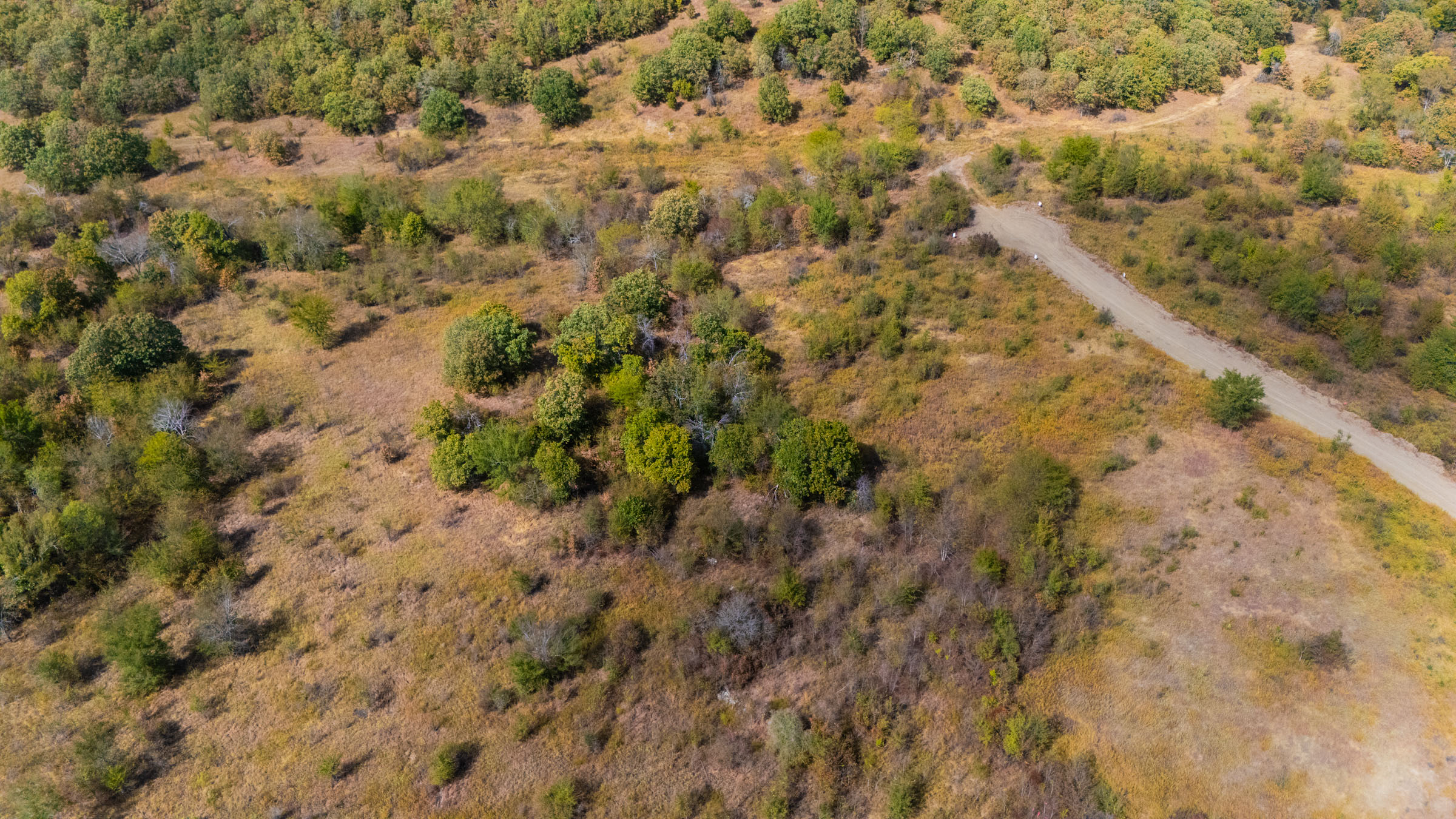 Gracyn Meadows Tract 16 photo 7