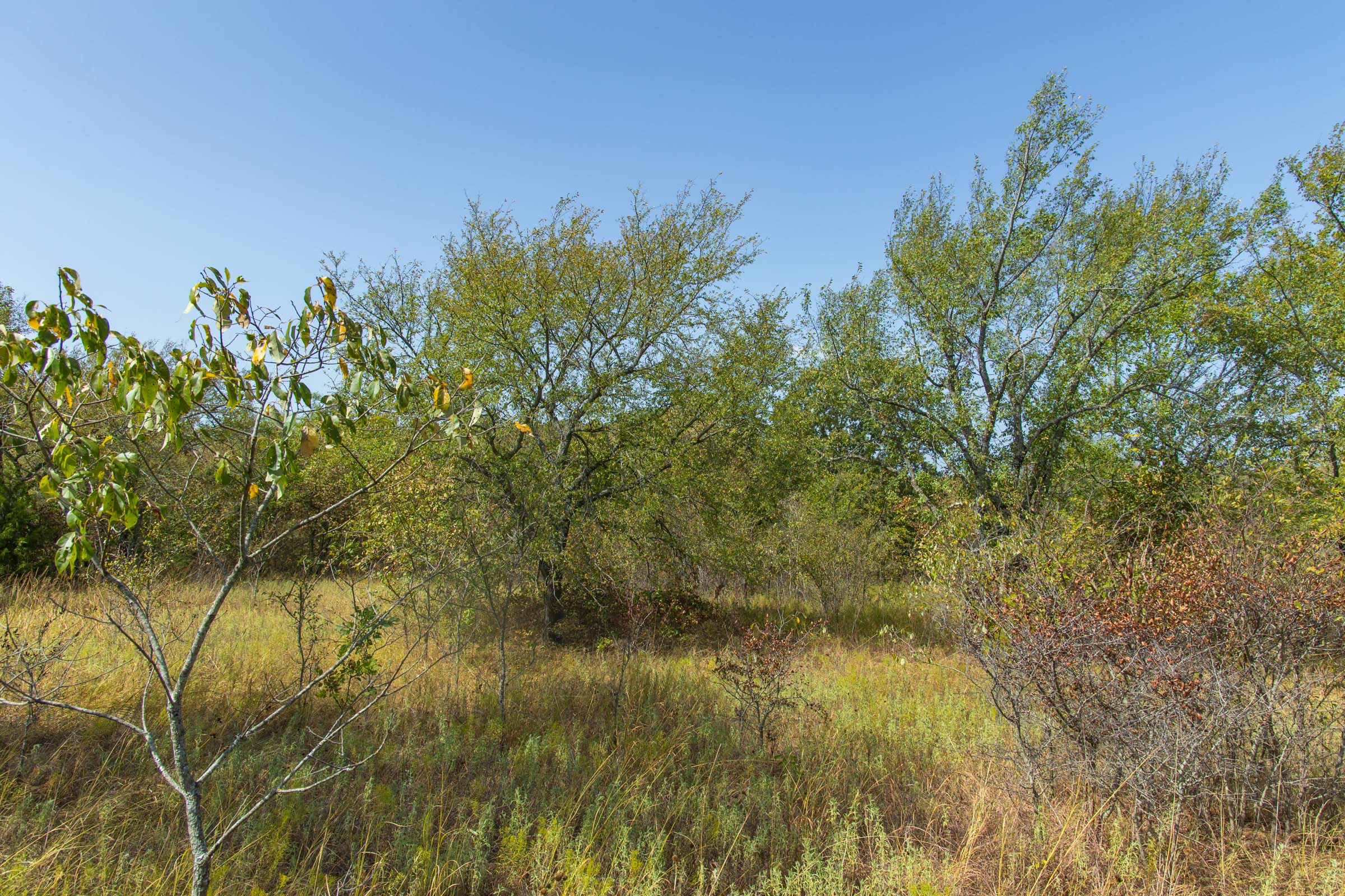 Gracyn Meadows Tract 16 photo 9