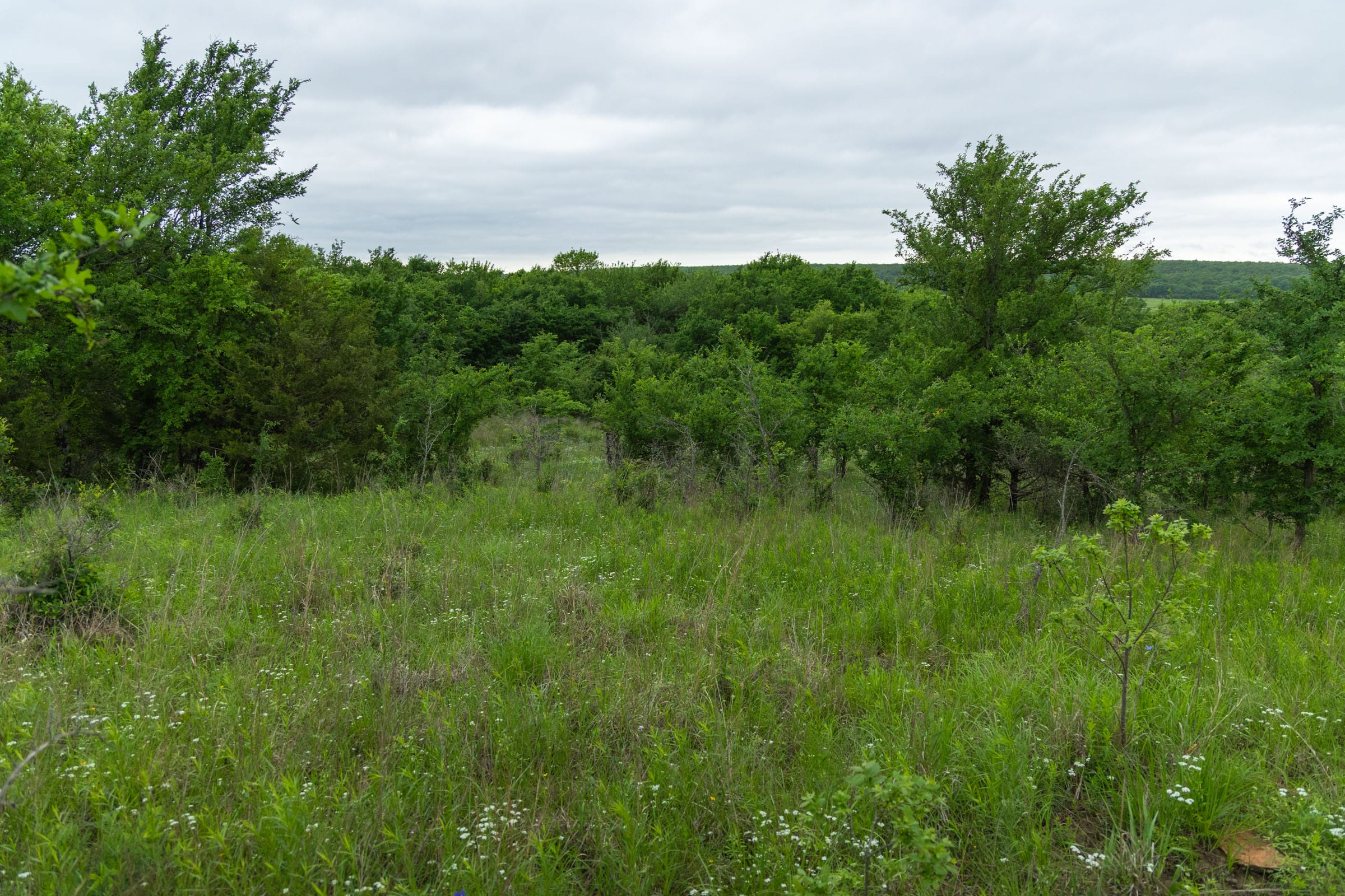 Harmony Hills Tract 2 photo 7