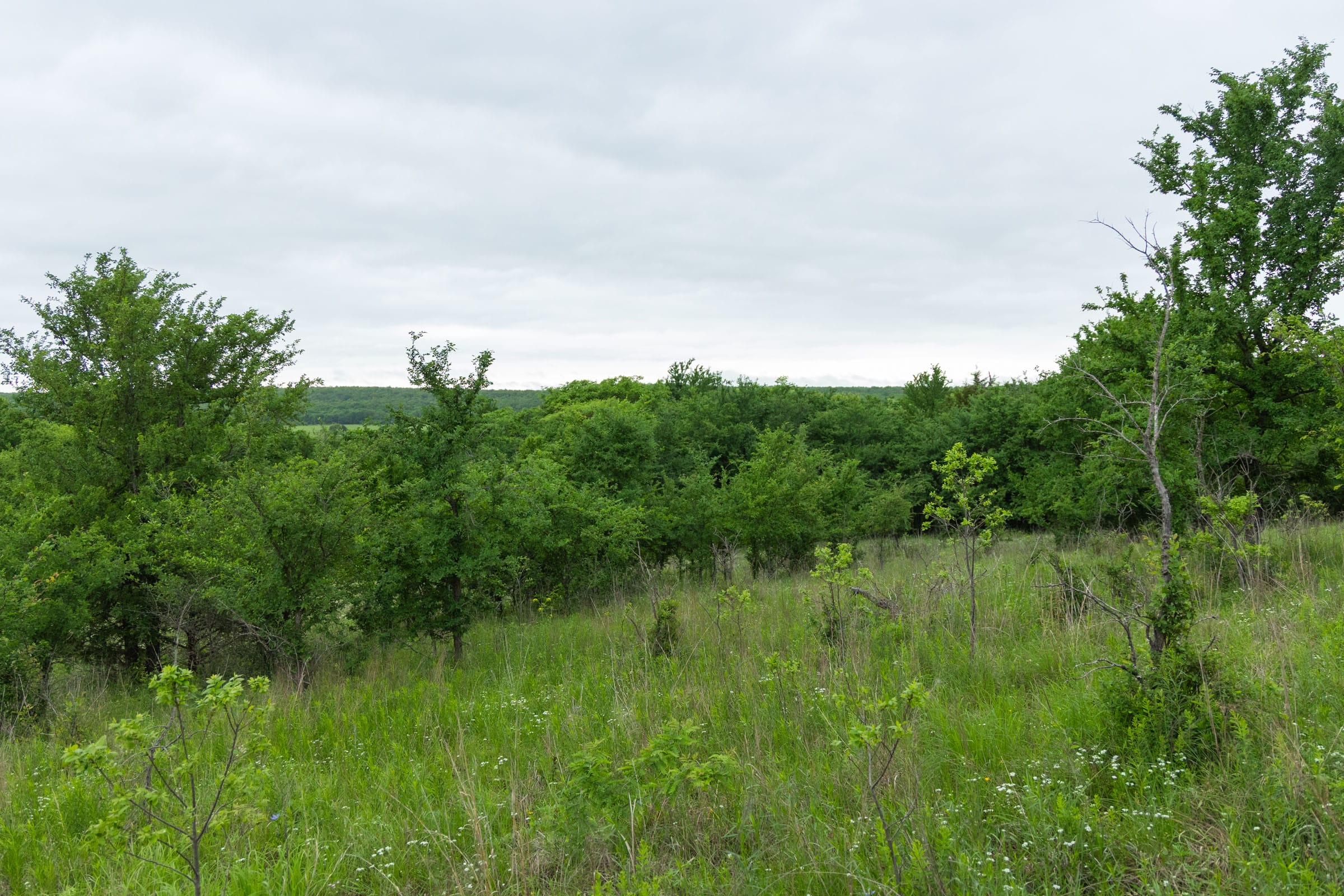 Harmony Hills Tract 2 photo 5
