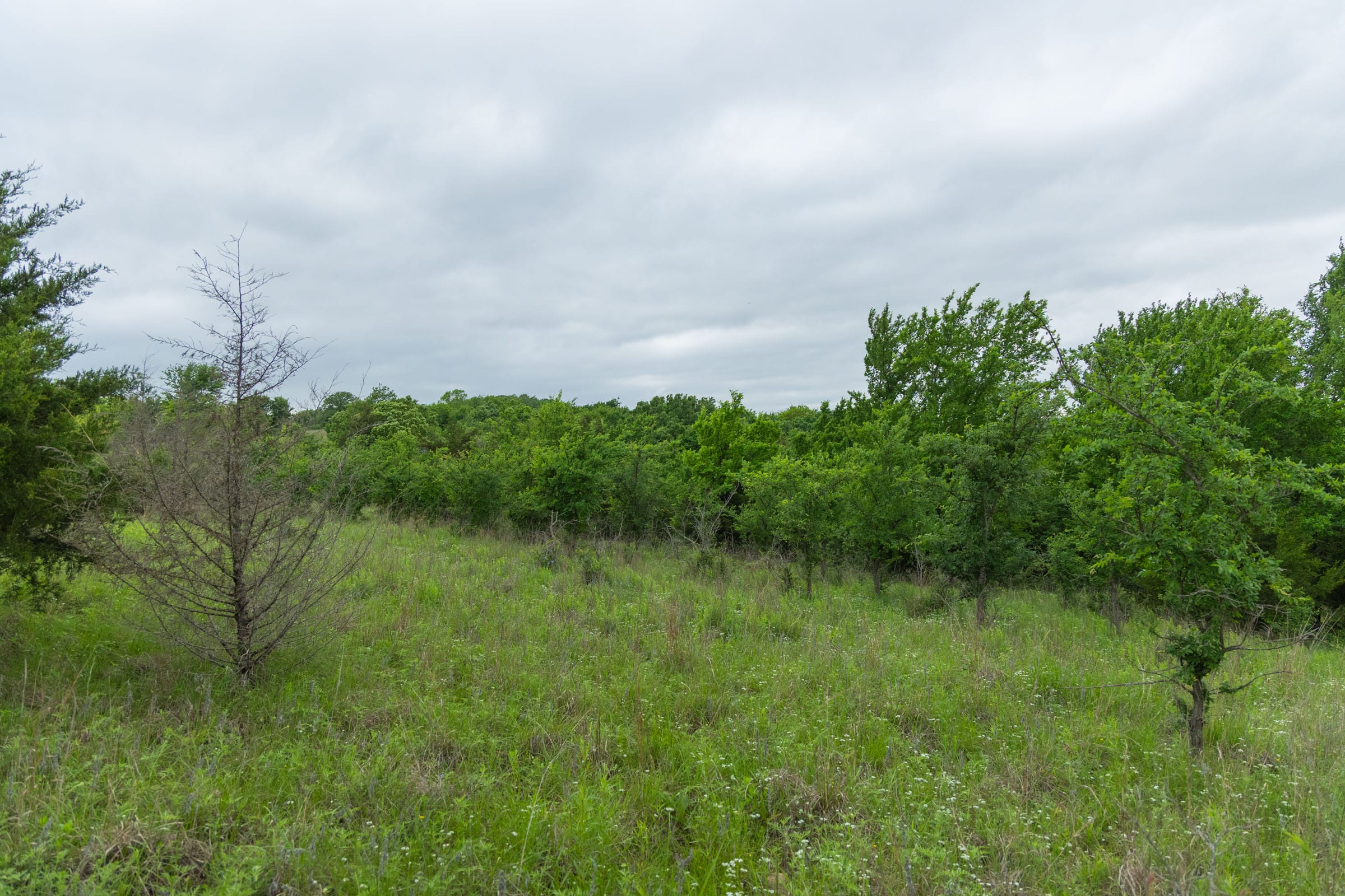 Harmony Hills Tract 2 photo 4