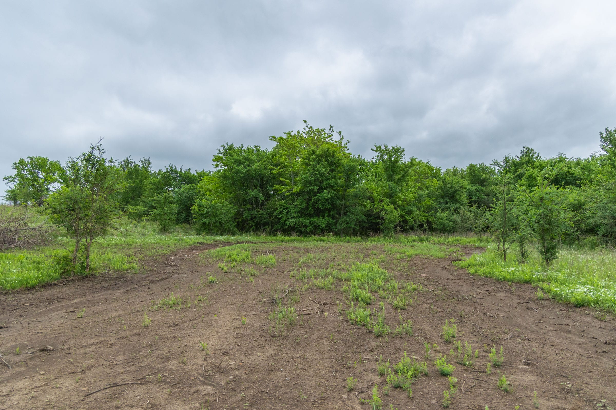 Harmony Hills Tract 2 photo 6