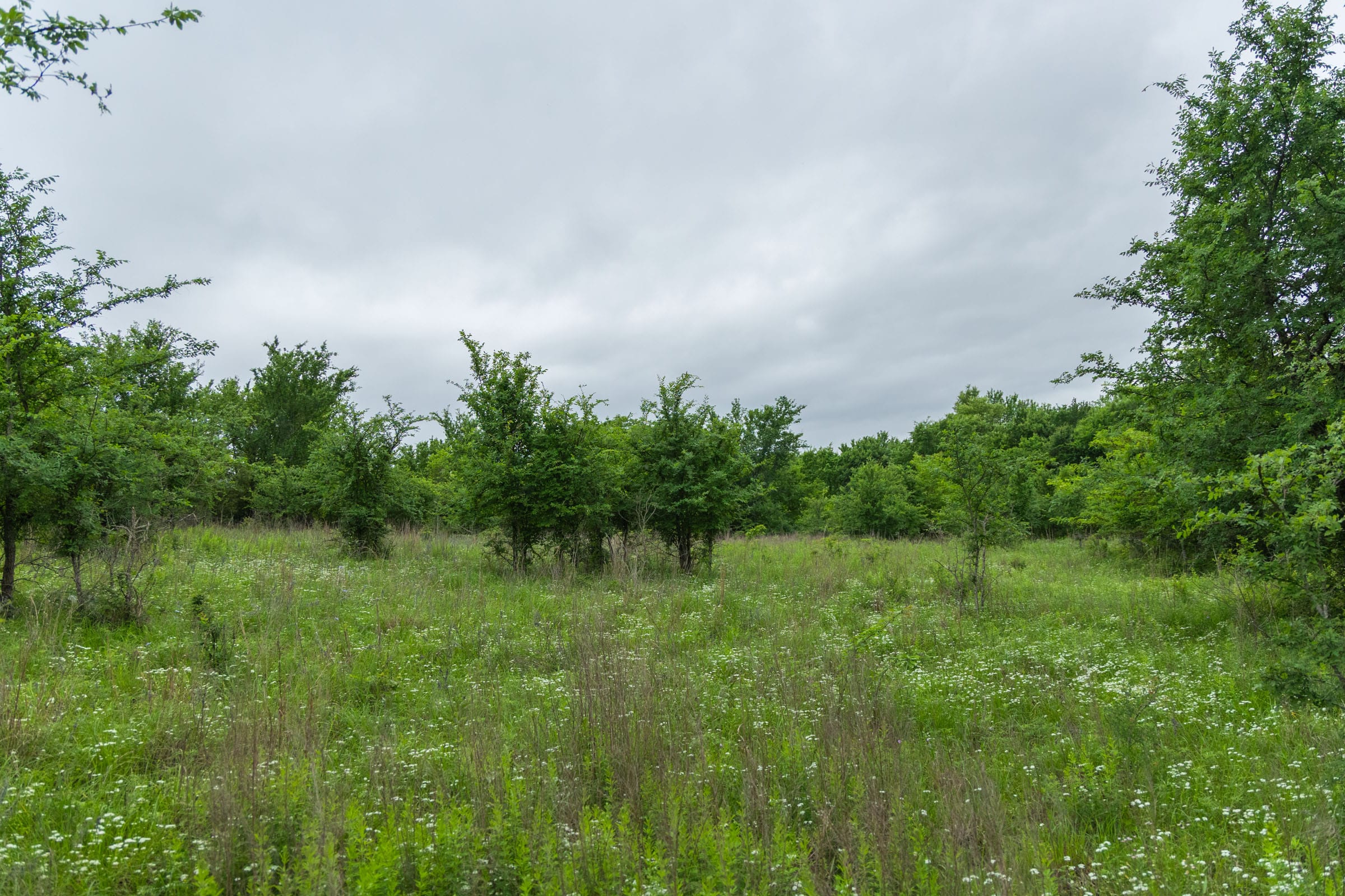 Harmony Hills Tract 2 photo 8