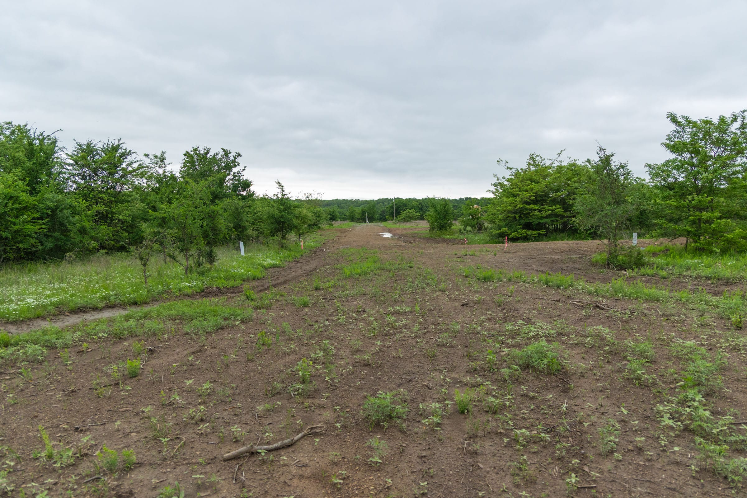 Harmony Hills Tract 2 photo 2