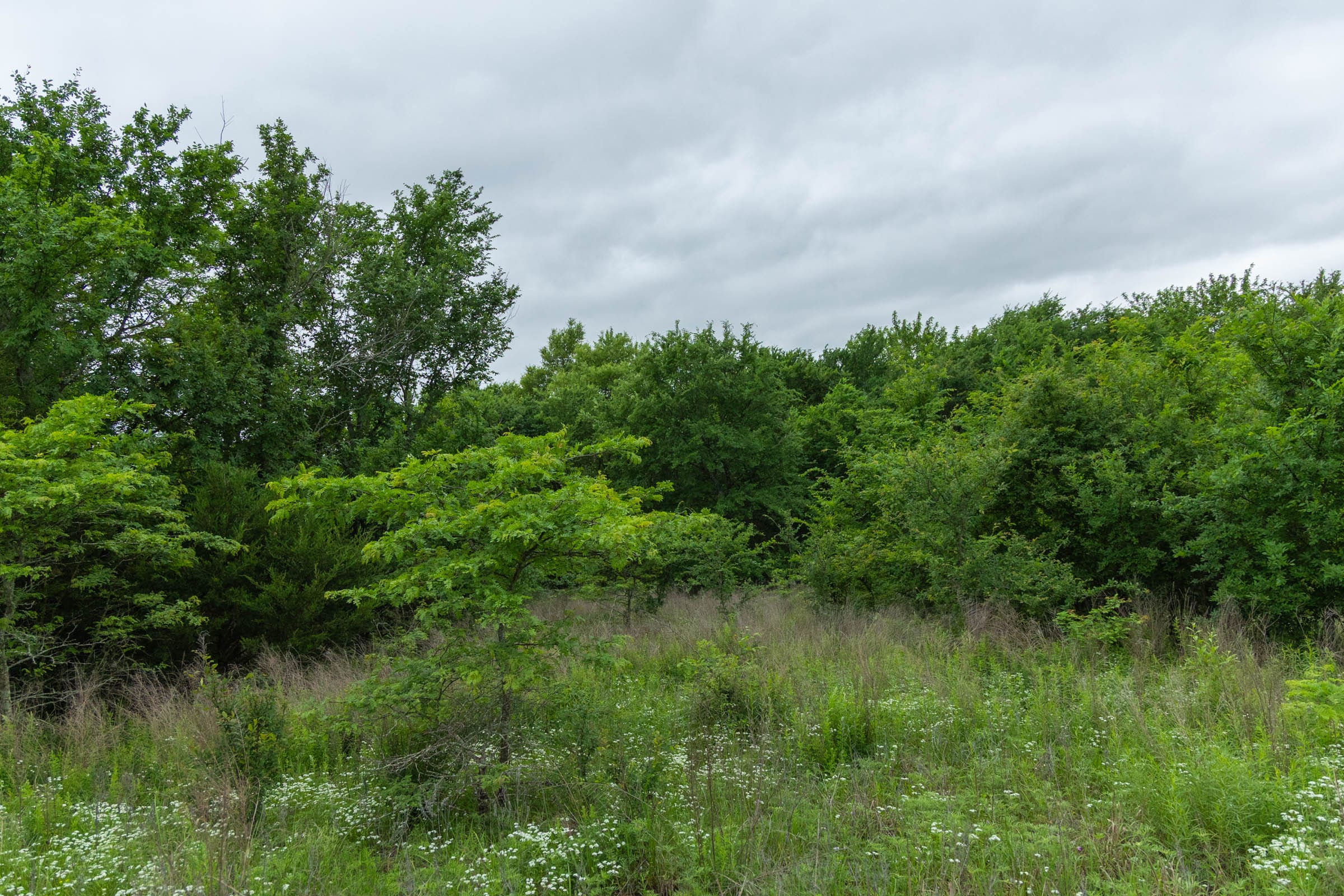 Harmony Hills Tract 2 photo 11