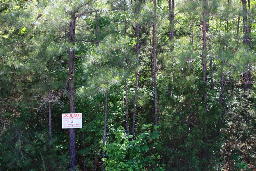 Hickory Hill Ranch Tract 3 photo 1