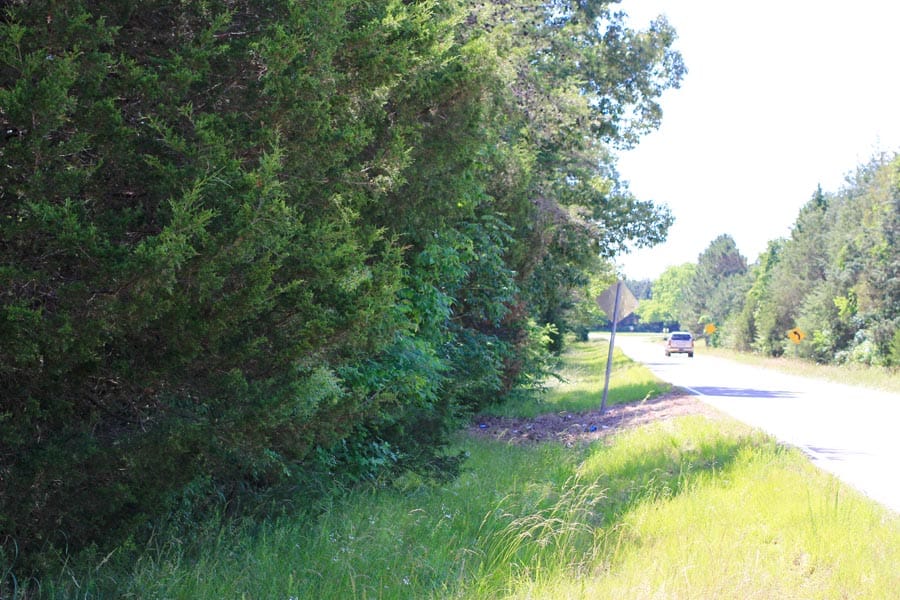 Hickory Hill Ranch Tract 3 photo 10
