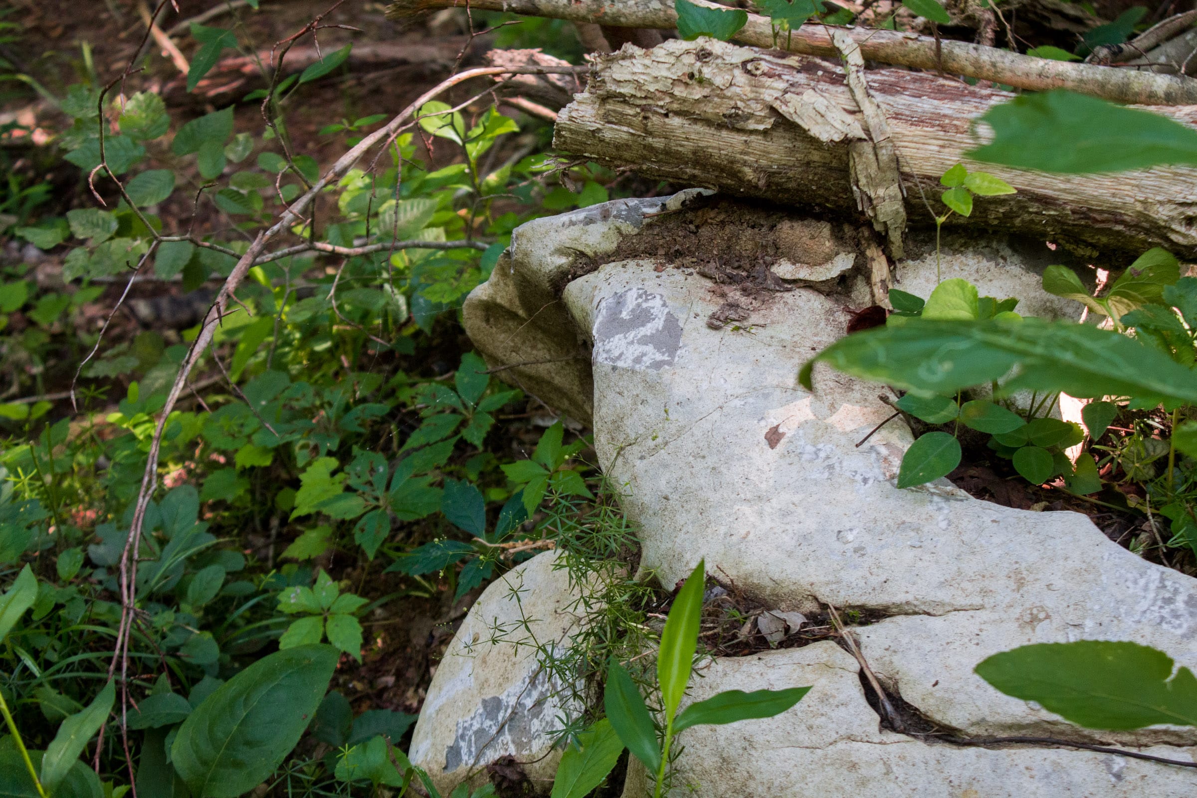 Bluewater Ridge Tract 31 photo 4