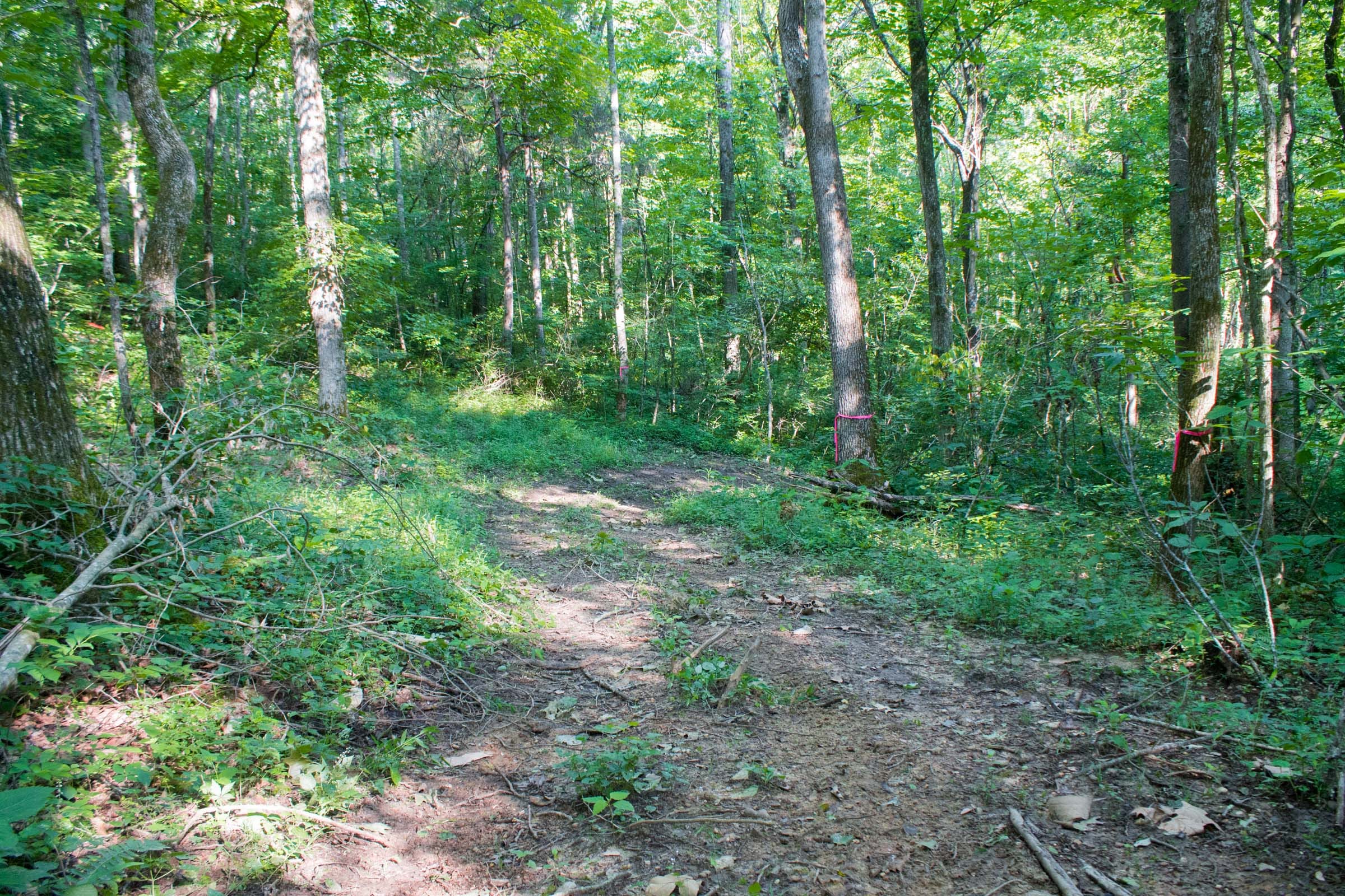 Bluewater Ridge Tract 31 photo 7