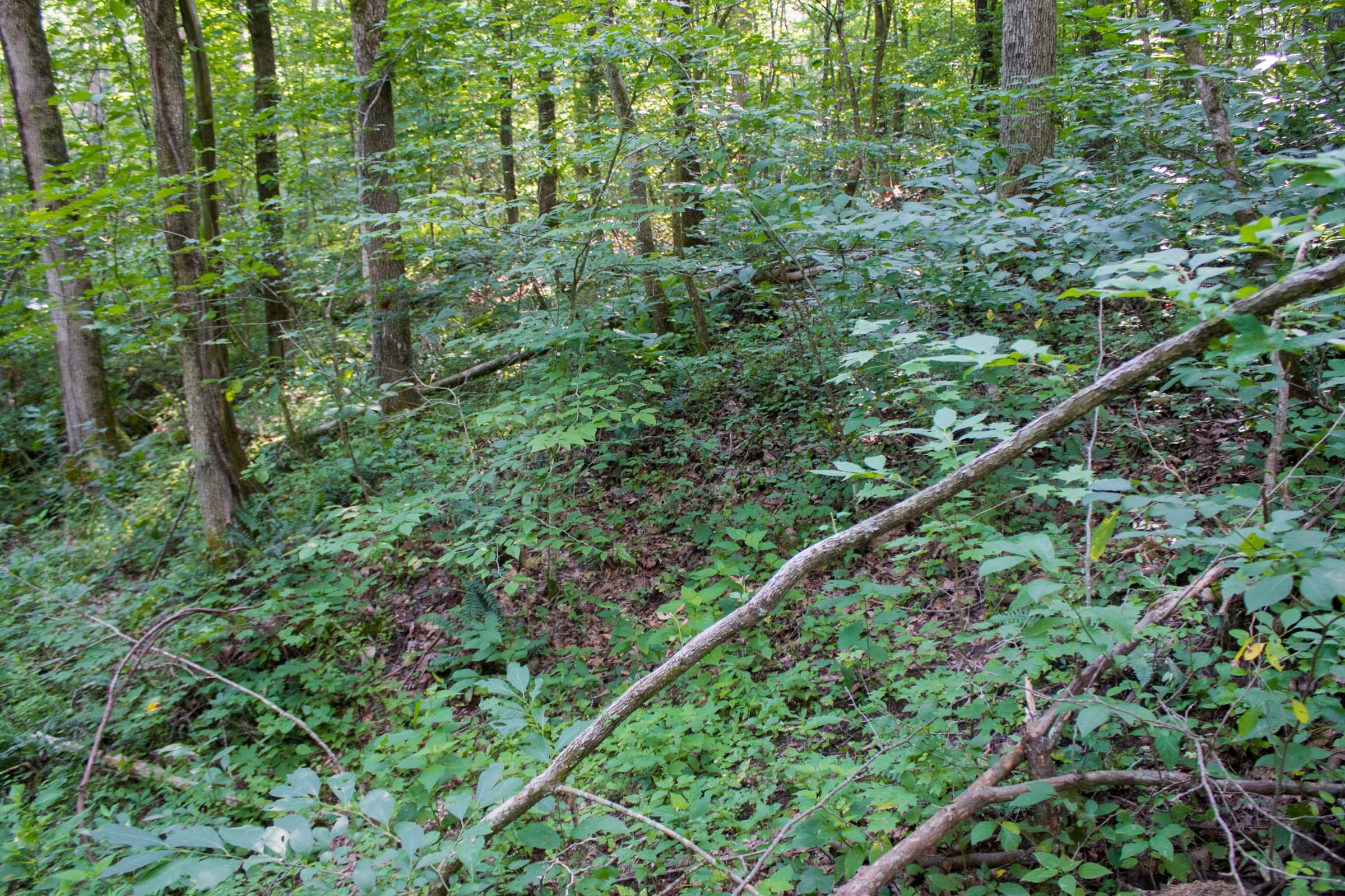 Bluewater Ridge Tract 31 photo 8
