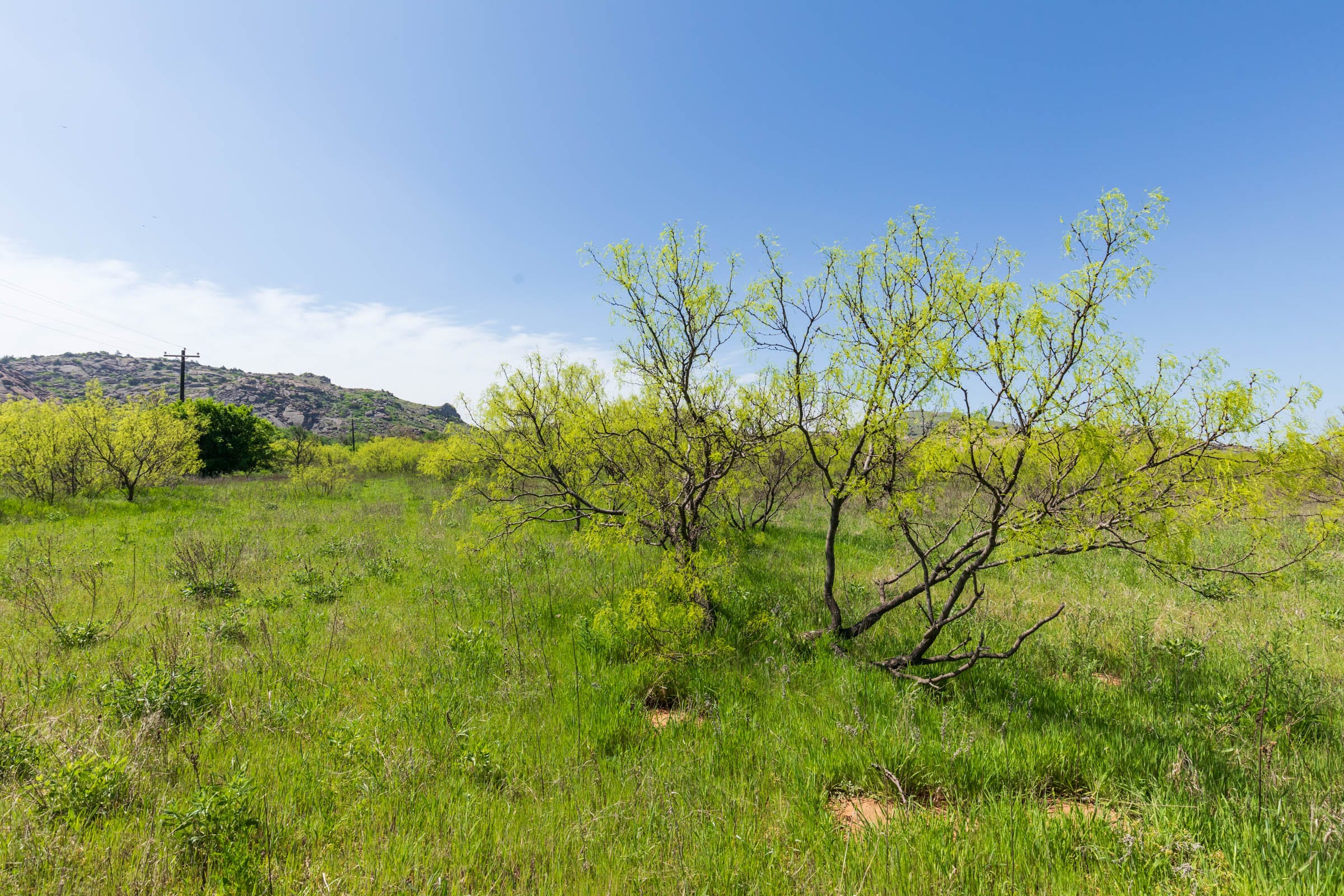 Hackberry Fields Tract 24 photo 1