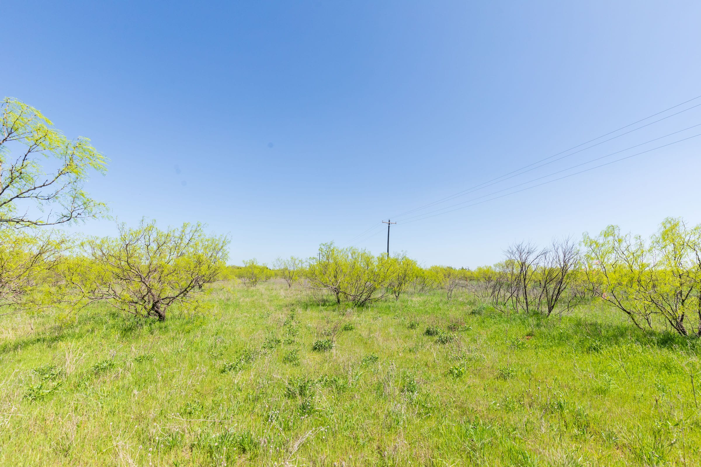 Hackberry Fields Tract 24 photo 6