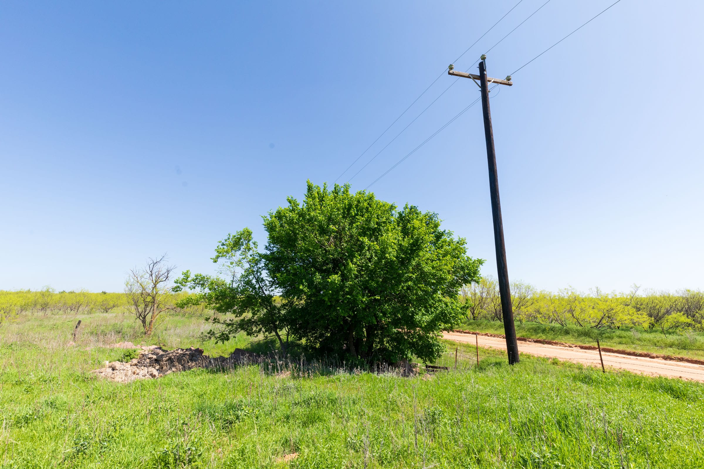 Hackberry Fields Tract 24 photo 4