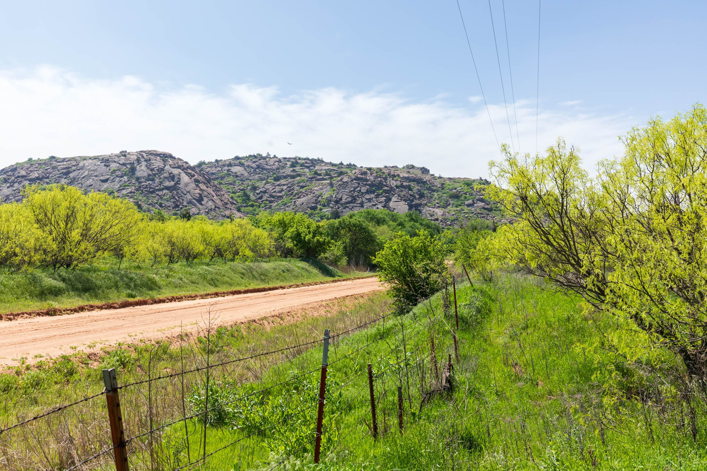 Hackberry Fields Tract 24 photo 2