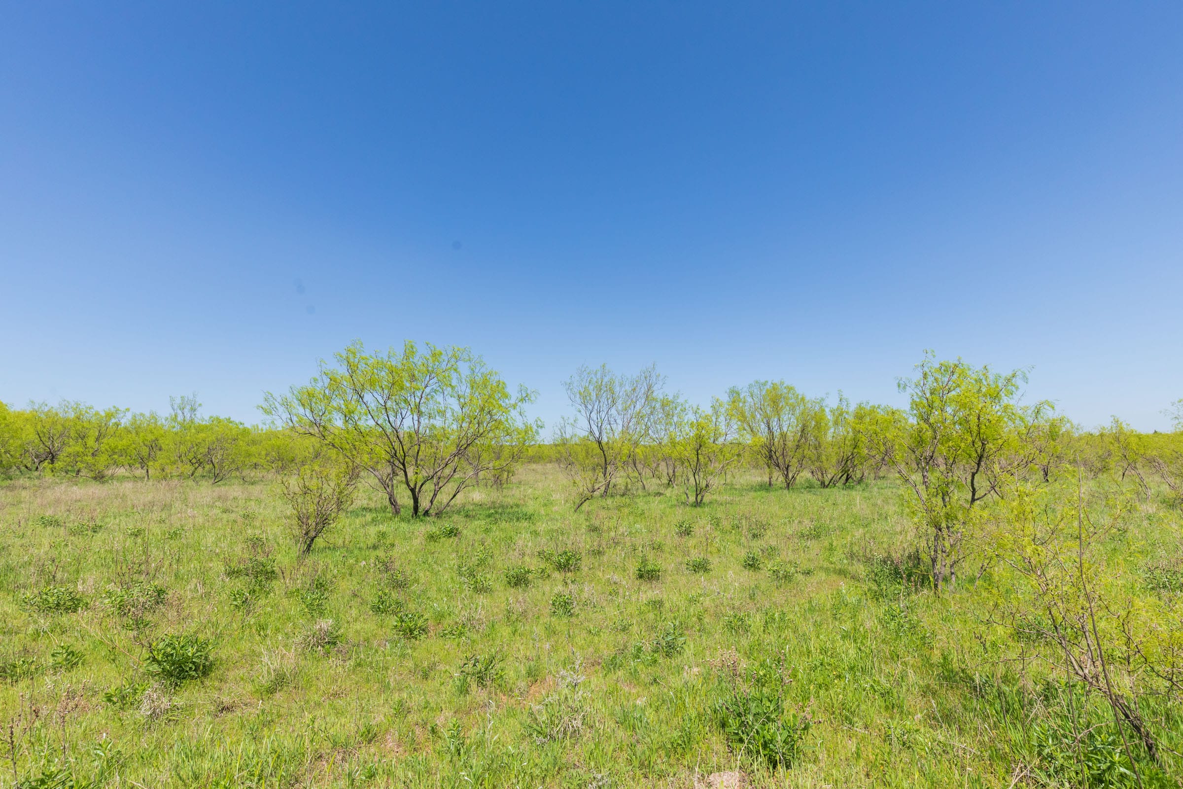 Hackberry Fields Tract 24 photo 13