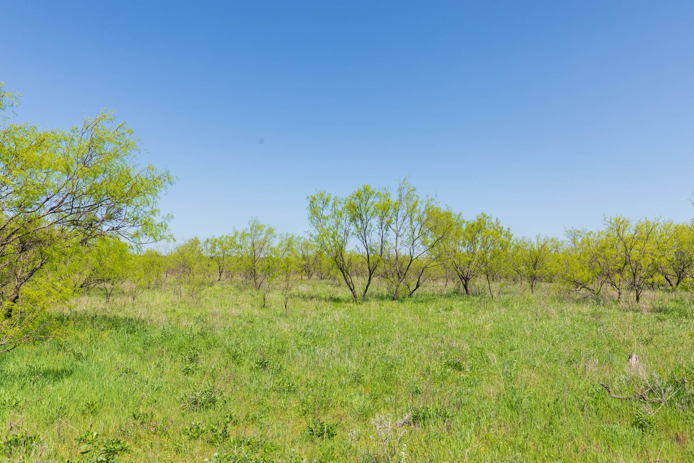 Hackberry Fields Tract 24 photo 14