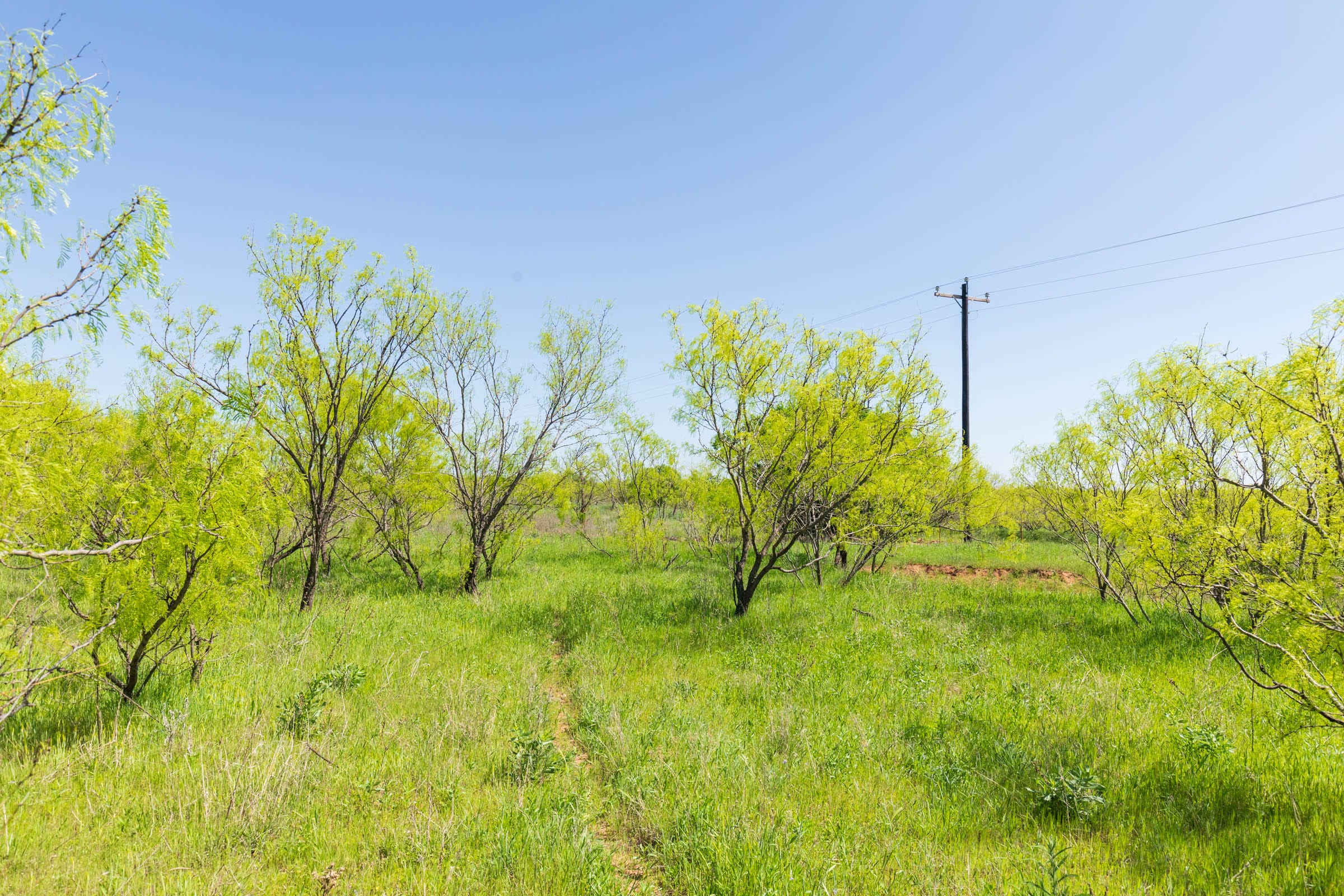Hackberry Fields Tract 24 photo 7