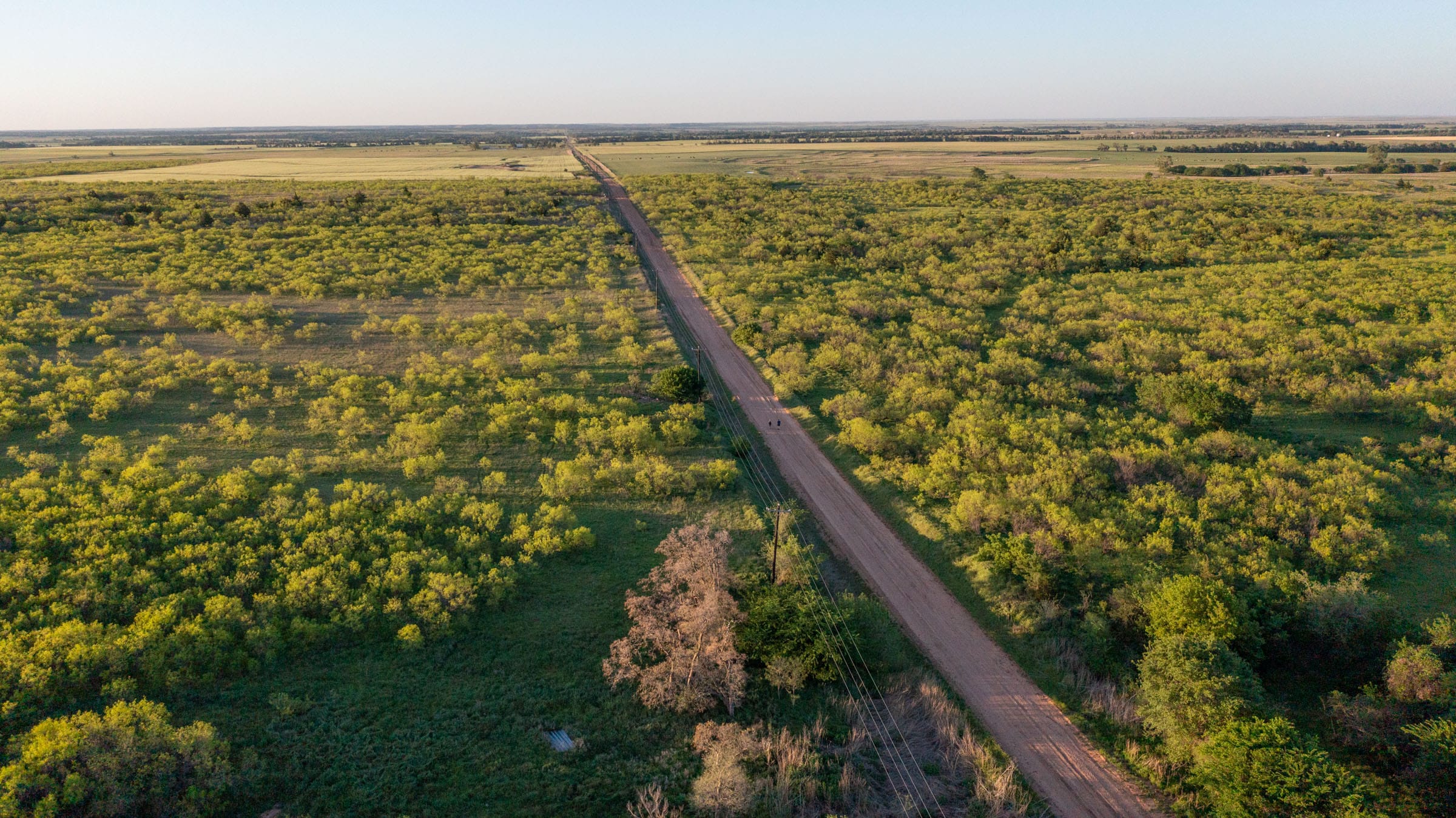 Hackberry Fields Tract 24 photo 3
