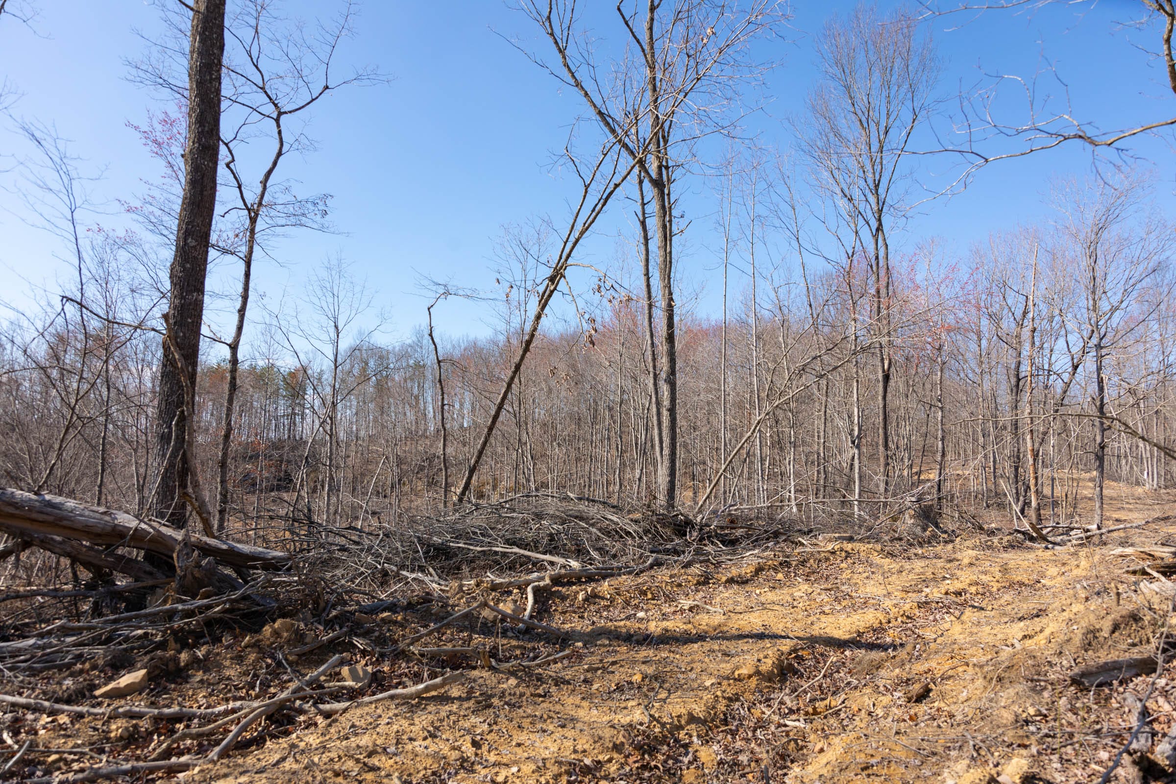Creek Hollow Phase I Tract 11 photo 5