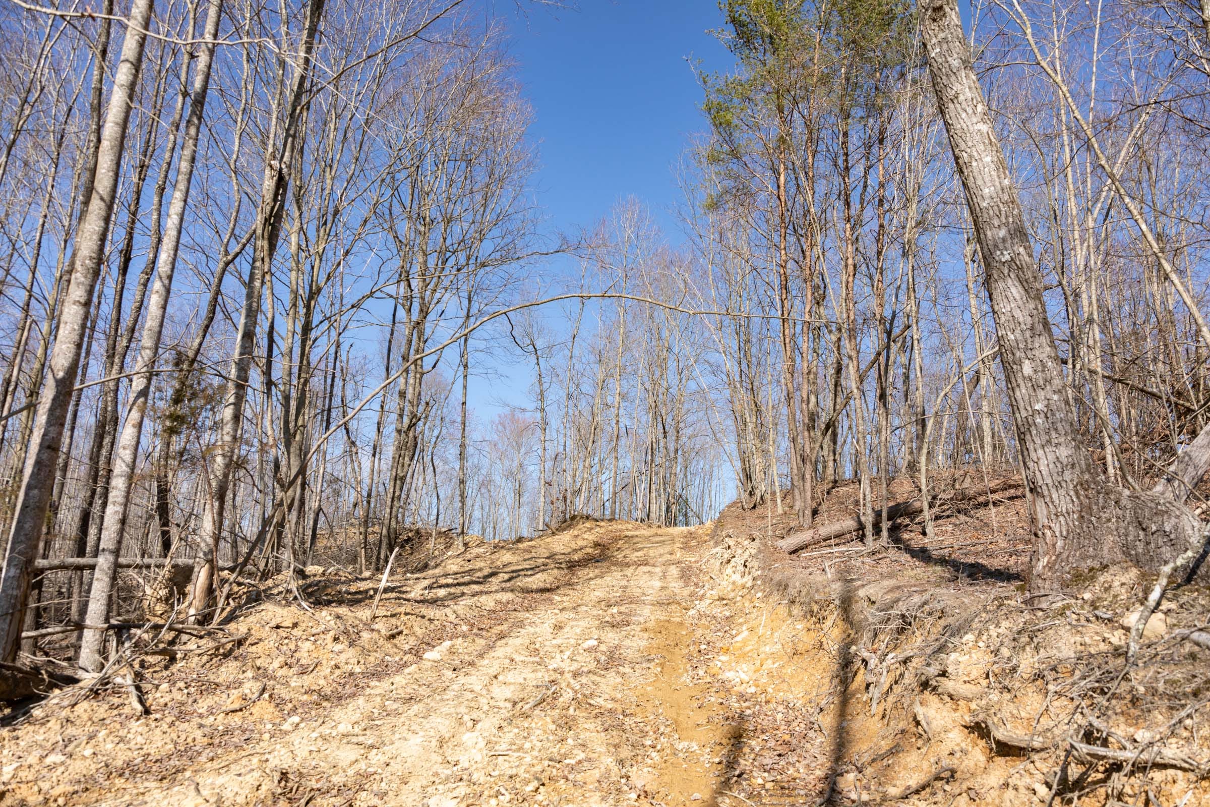 Creek Hollow Phase I Tract 11 photo 3