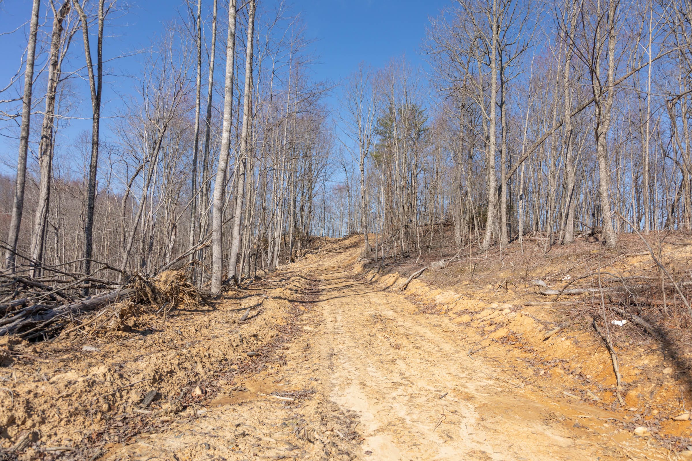 Creek Hollow Phase I Tract 11 photo 1