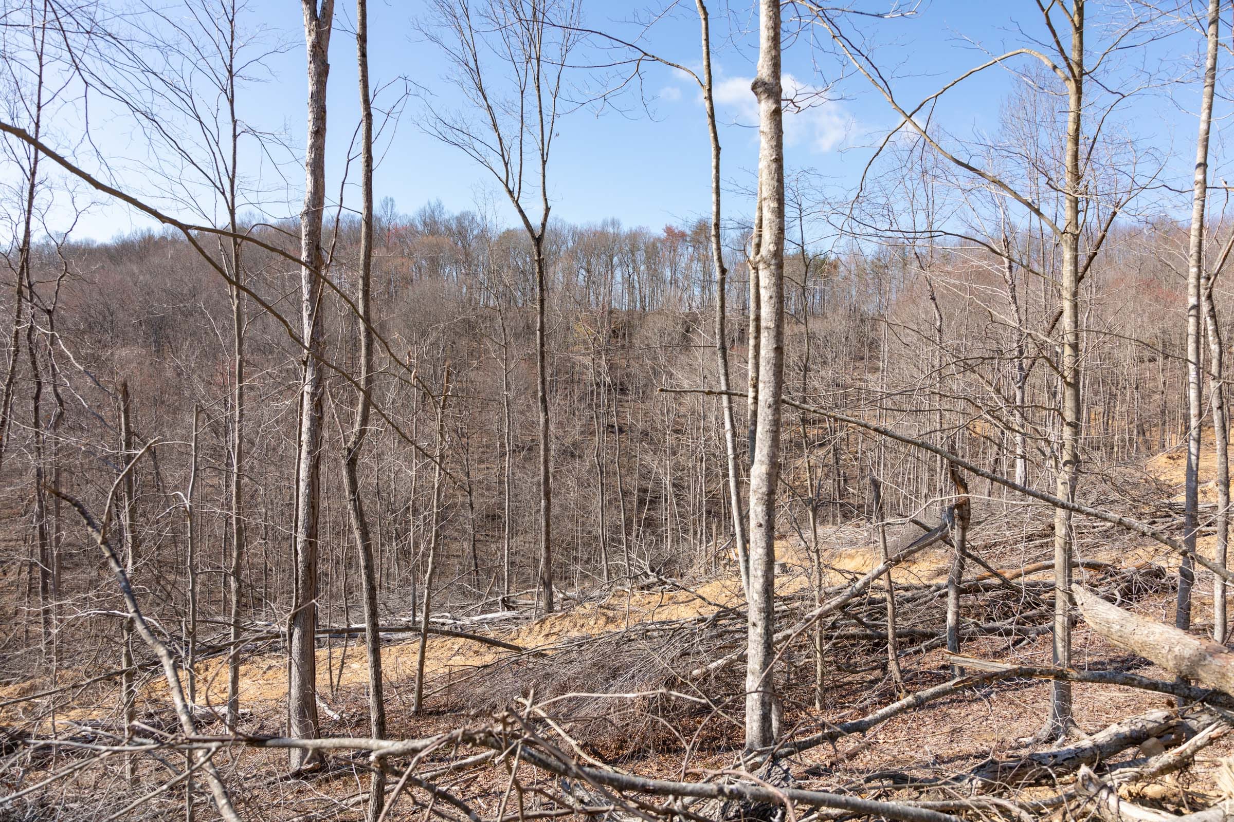 Creek Hollow Phase I Tract 11 photo 6