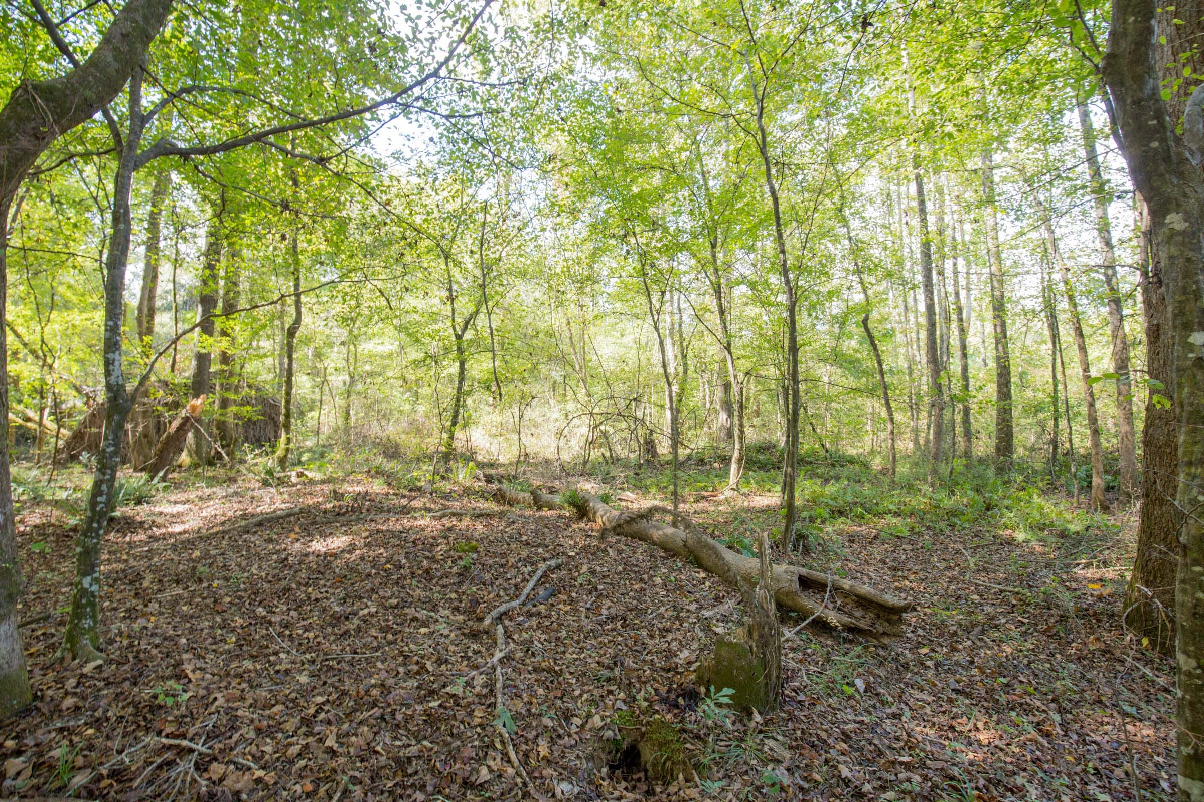 Sky Ranch Tract 10 photo 3