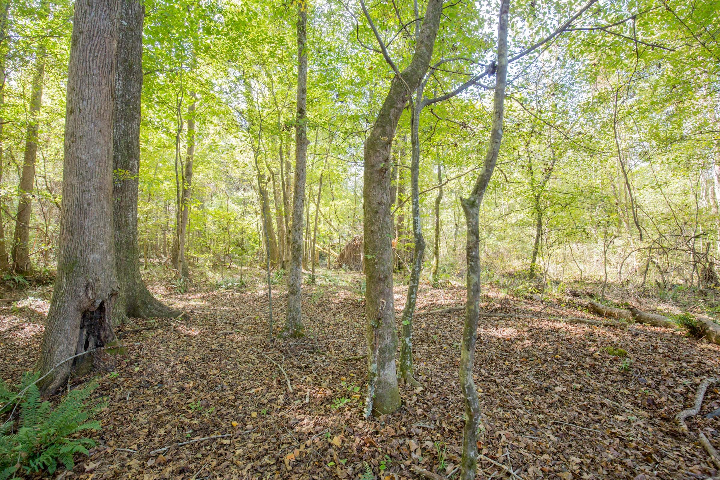 Sky Ranch Tract 10 photo 4