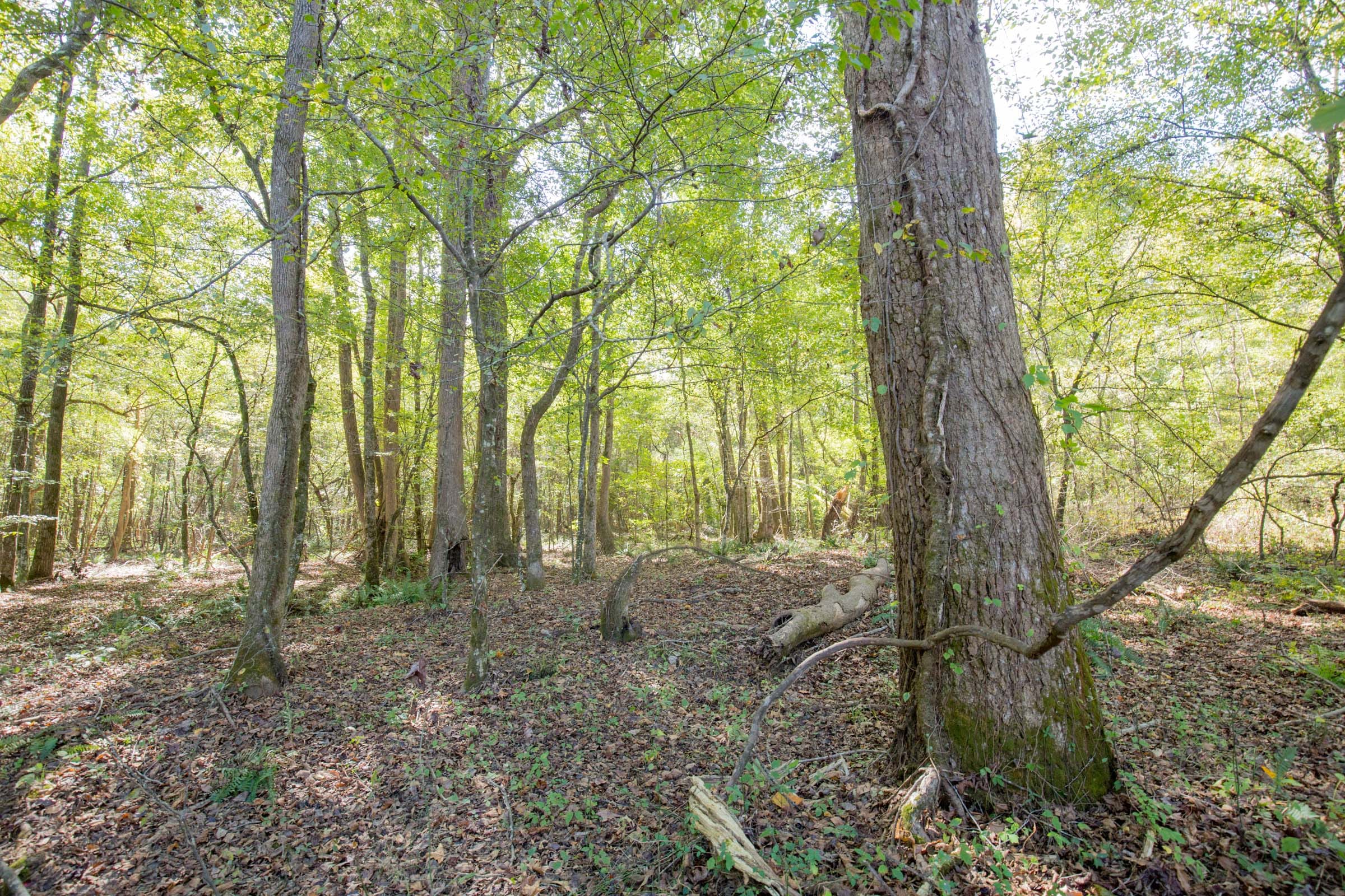 Sky Ranch Tract 10 photo 2