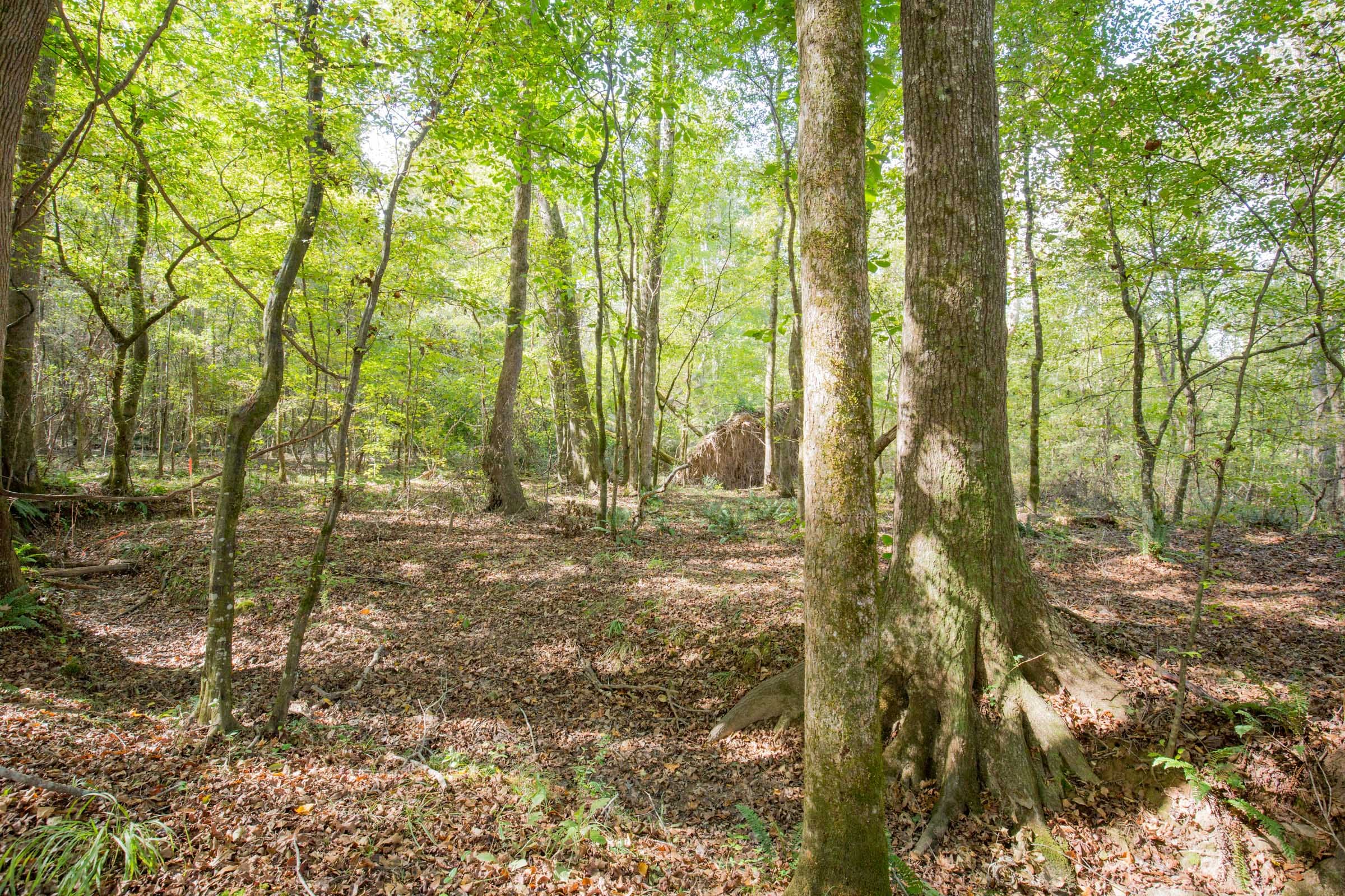 Sky Ranch Tract 10 photo 8