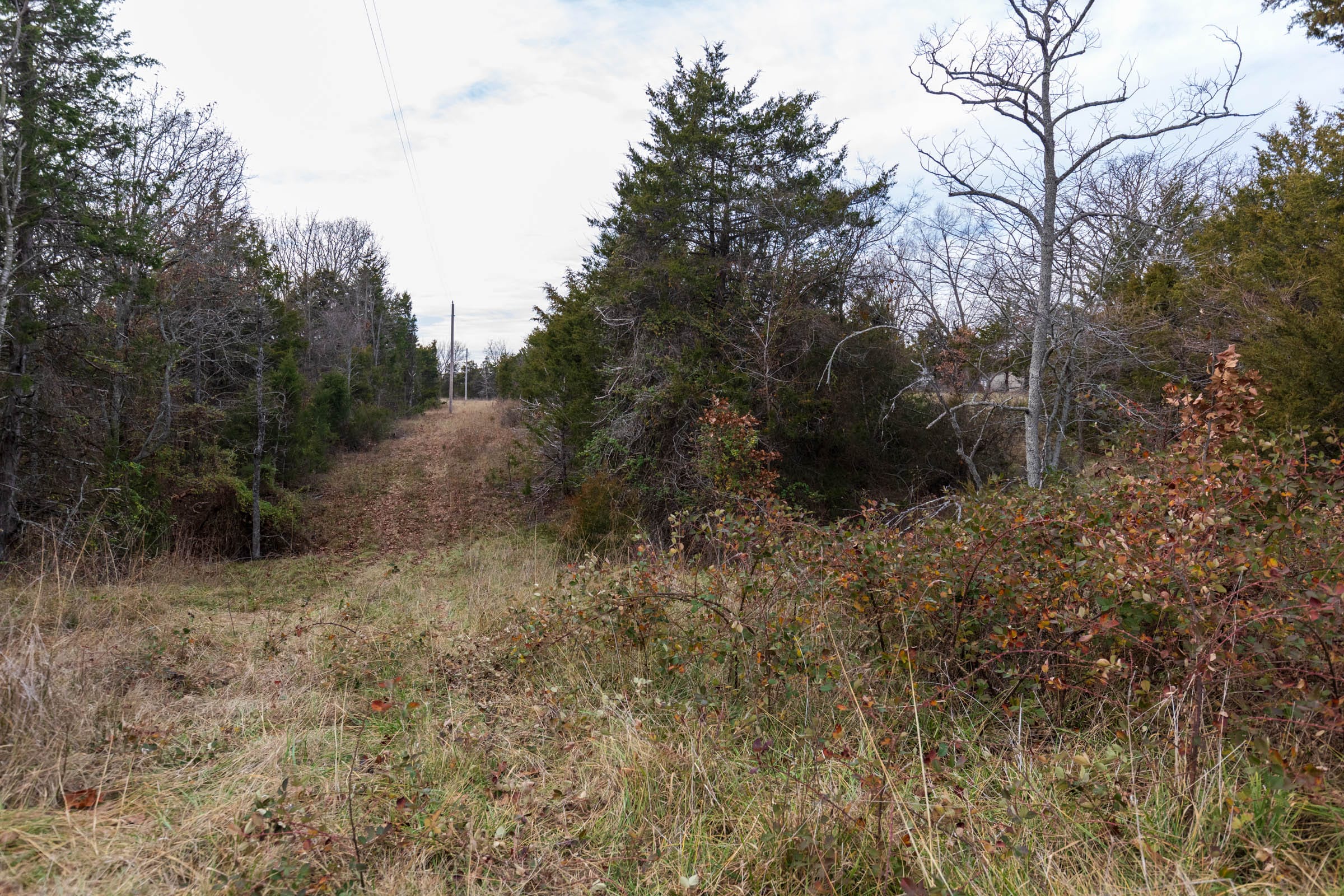 Crossroads Tract 1 photo 9