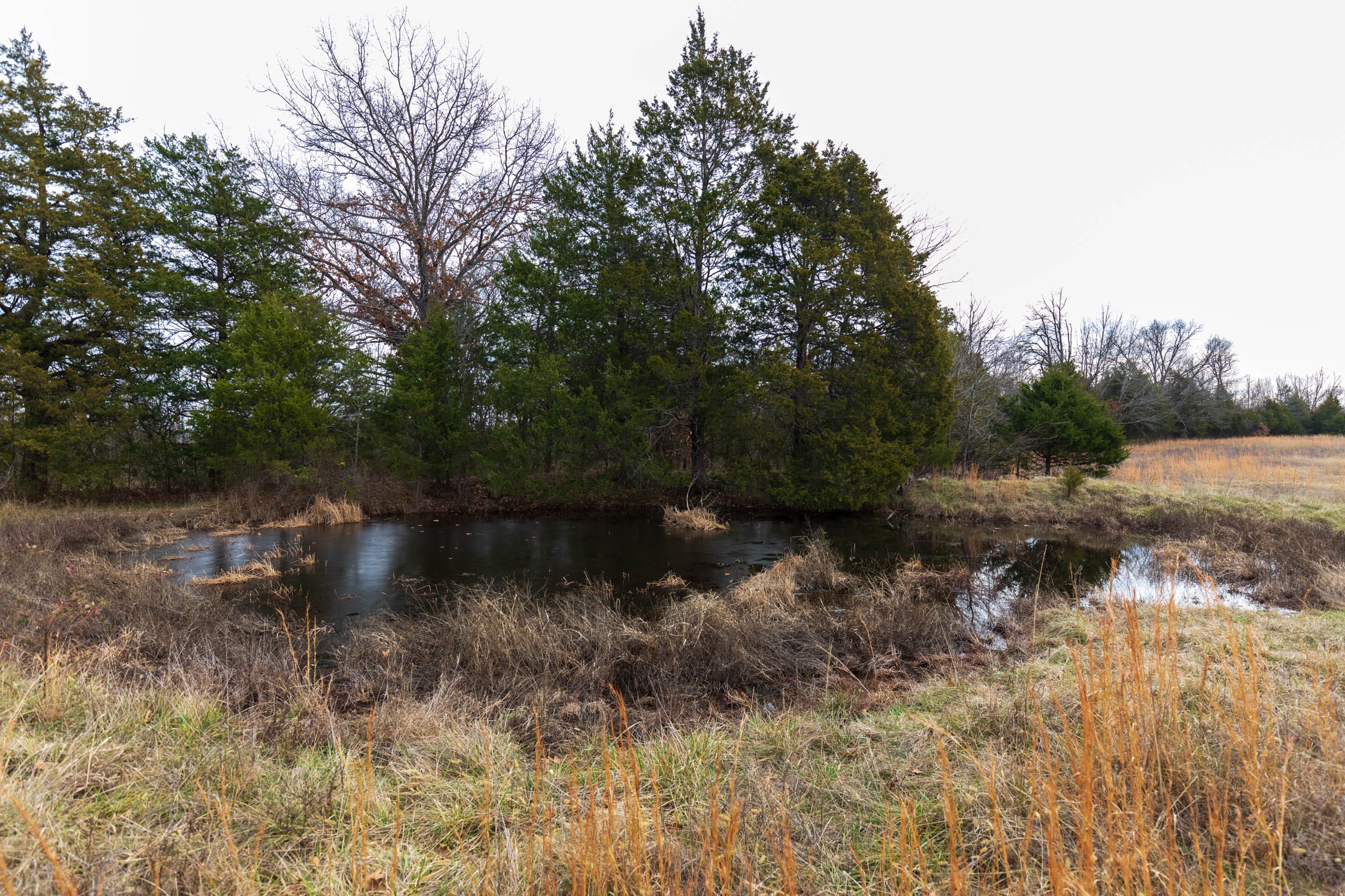 Crossroads Tract 1 photo 11