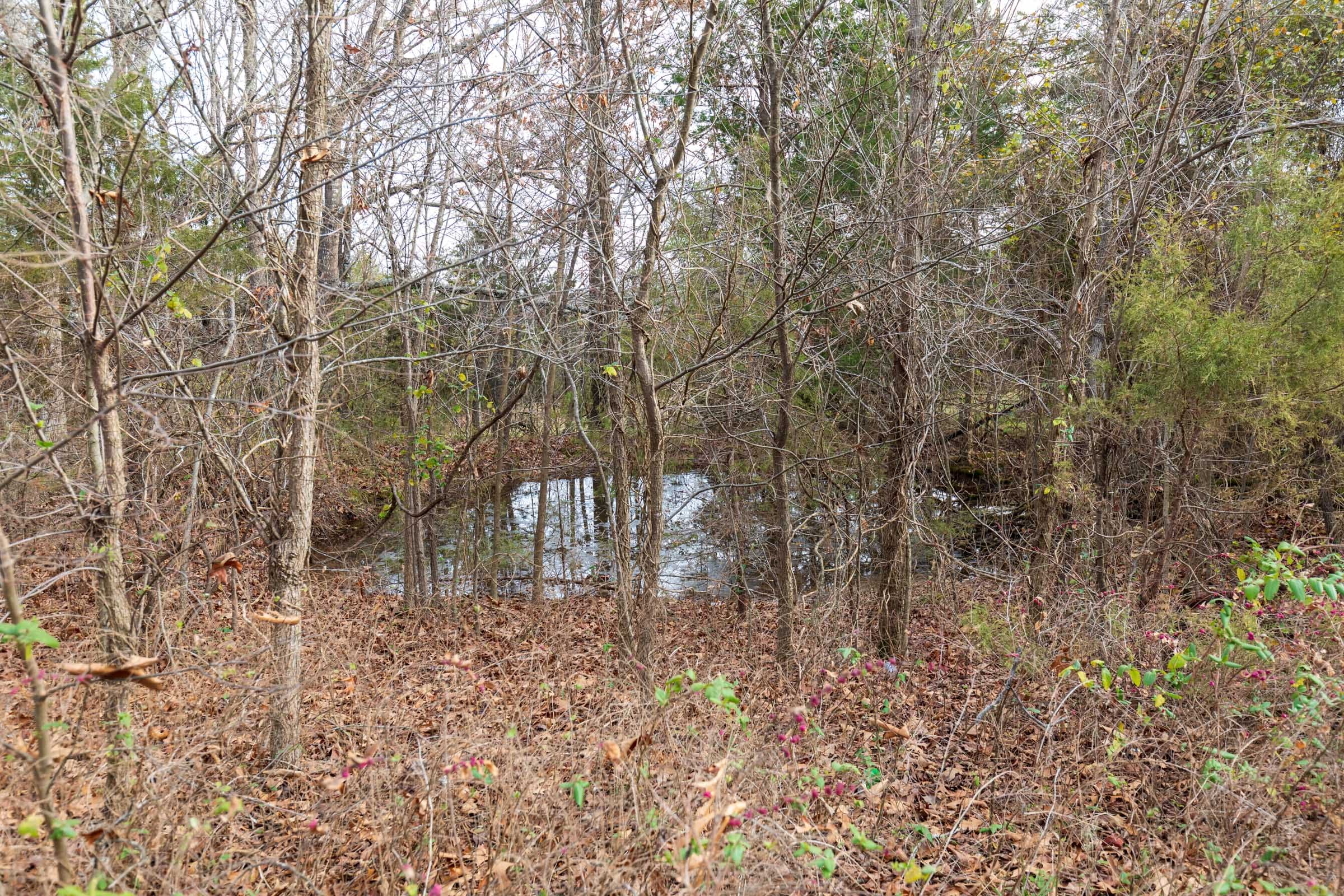 Crossroads Tract 1 photo 6