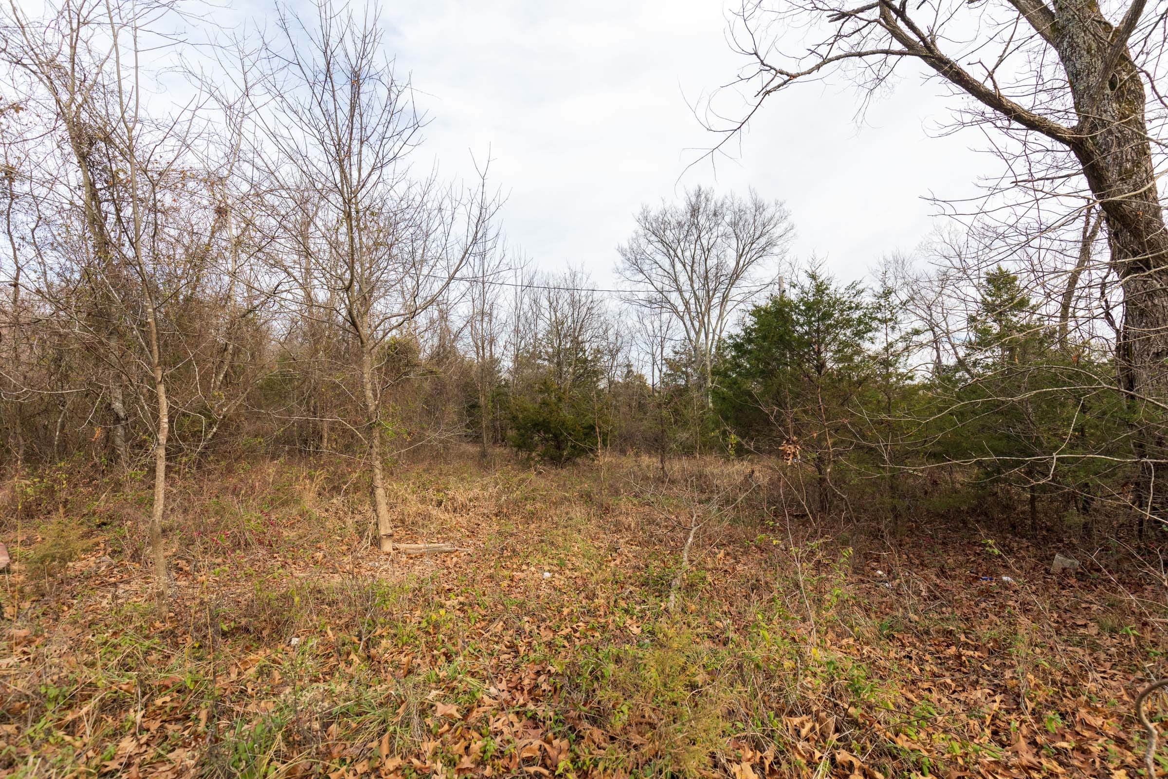 Crossroads Tract 1 photo 17
