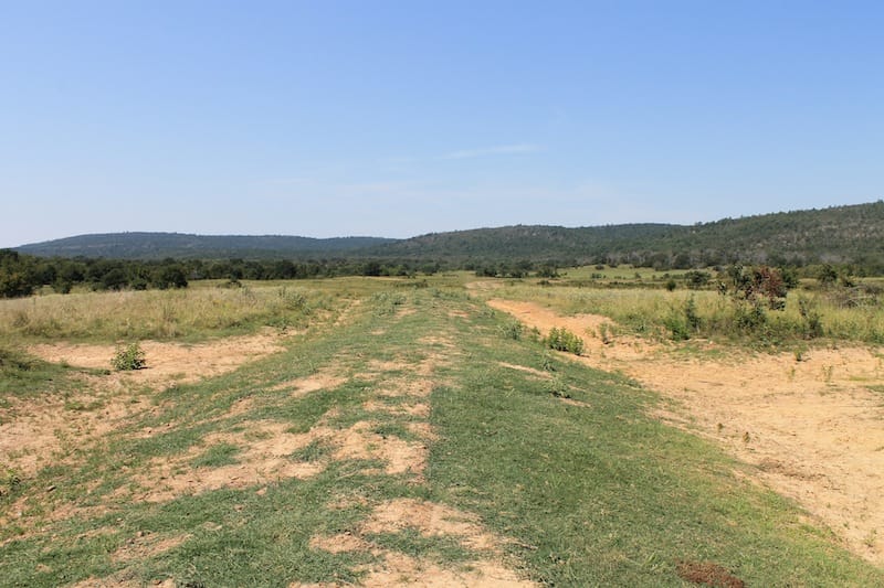 Daisy Meadows Tract 32 photo 1