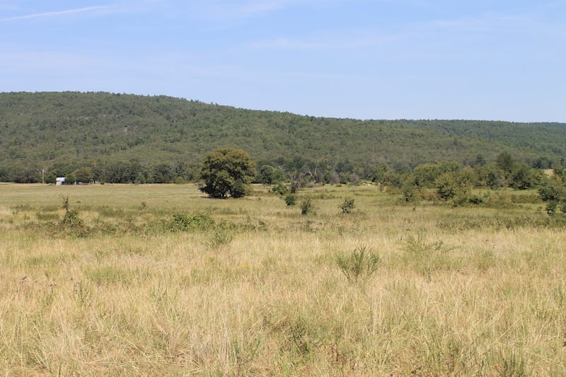 Daisy Meadows Tract 32 photo 3