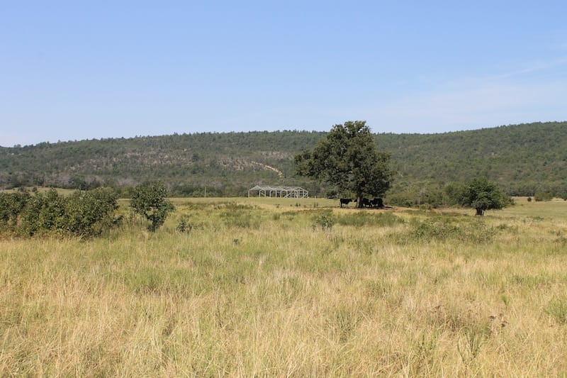 Daisy Meadows Tract 32 photo 5