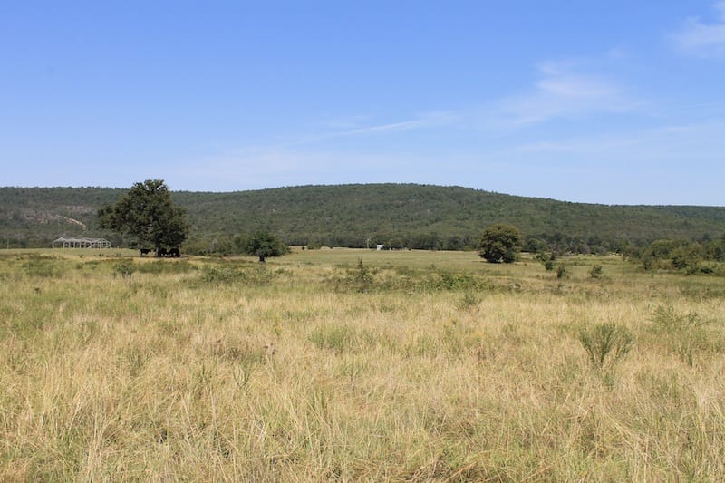 Daisy Meadows Tract 32 photo 6