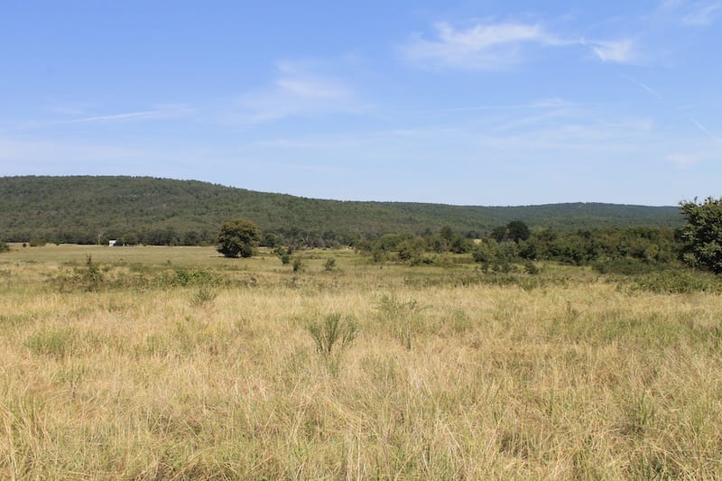 Daisy Meadows Tract 32 photo 7