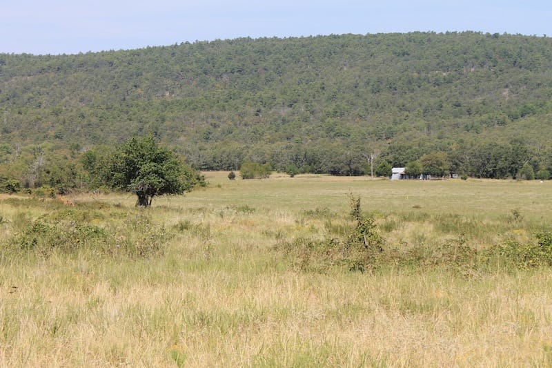 Daisy Meadows Tract 32 photo 9