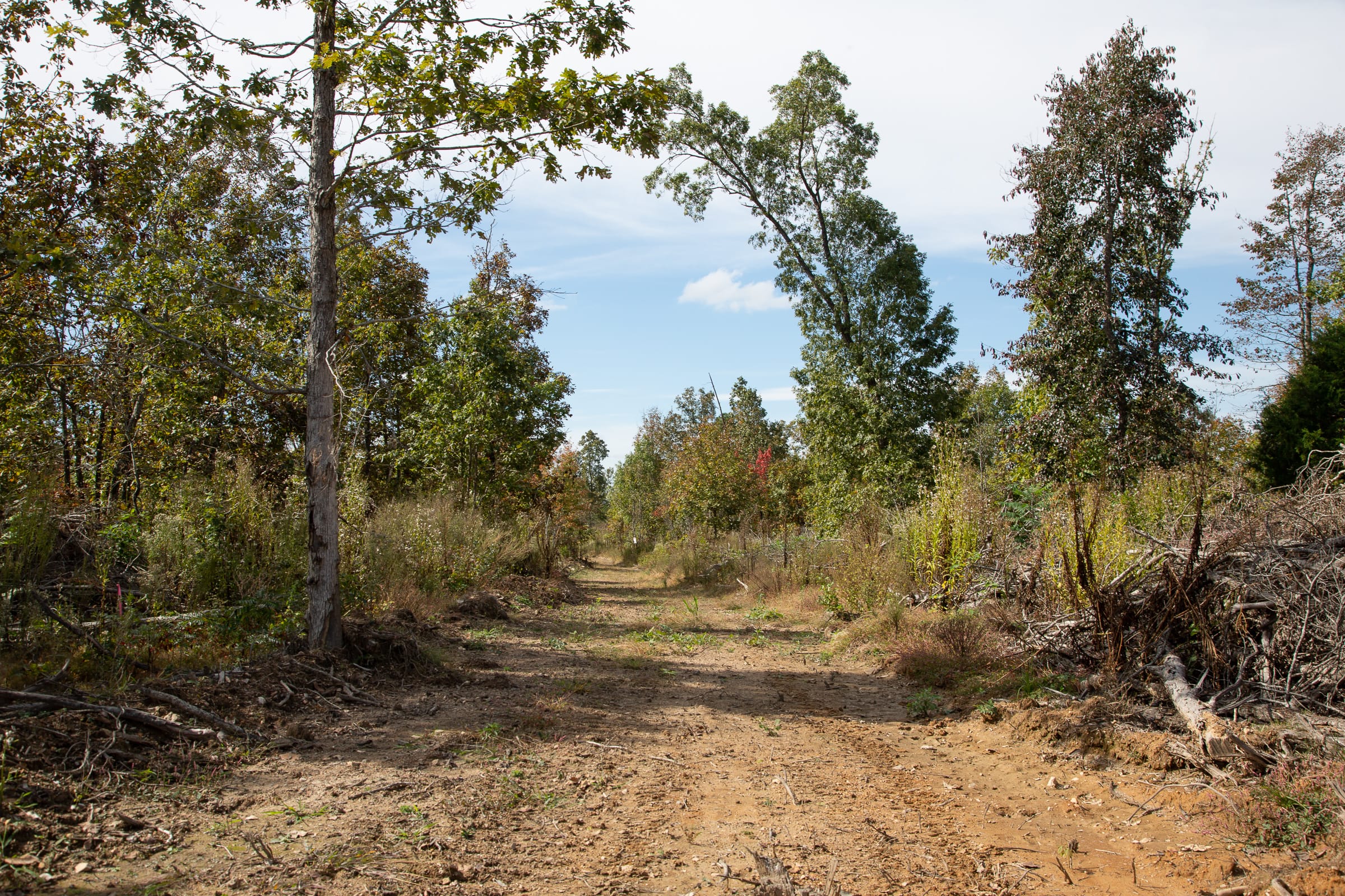 Borgmann’s Hollow Phase IV Tract 120 photo 1