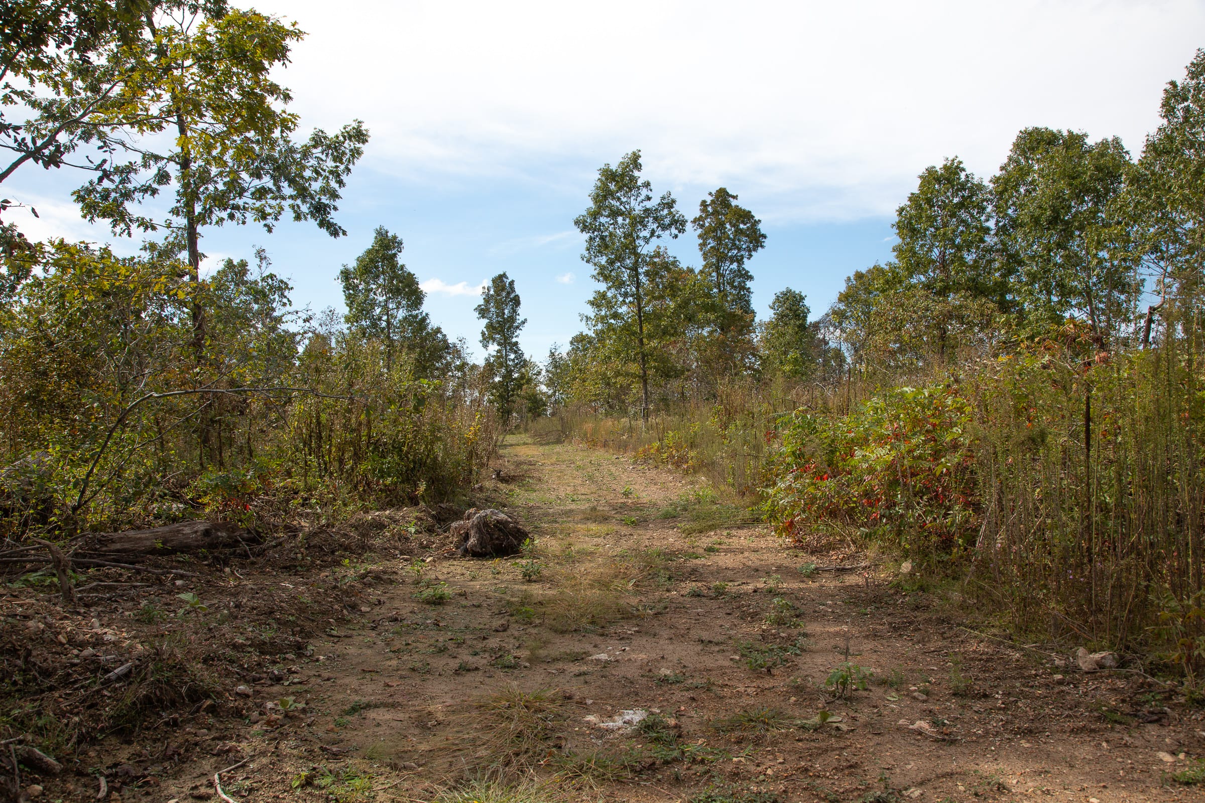 Borgmann’s Hollow Phase IV Tract 120 photo 10