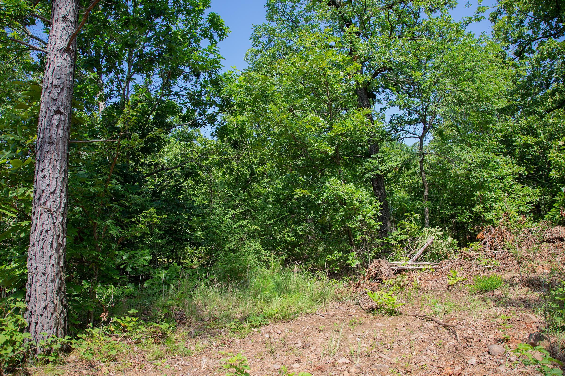 Tyler Stone Ranch Tract 70 photo 3