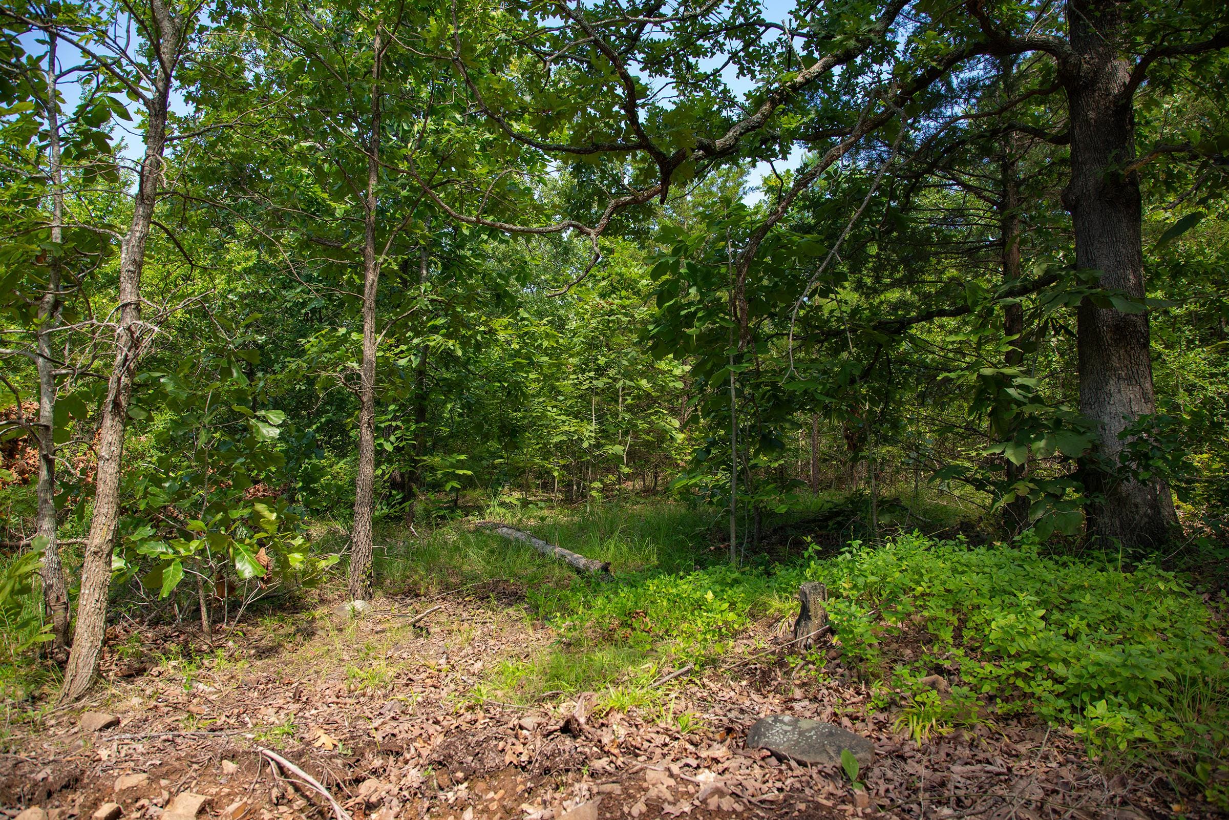 Tyler Stone Ranch Tract 70 photo 1