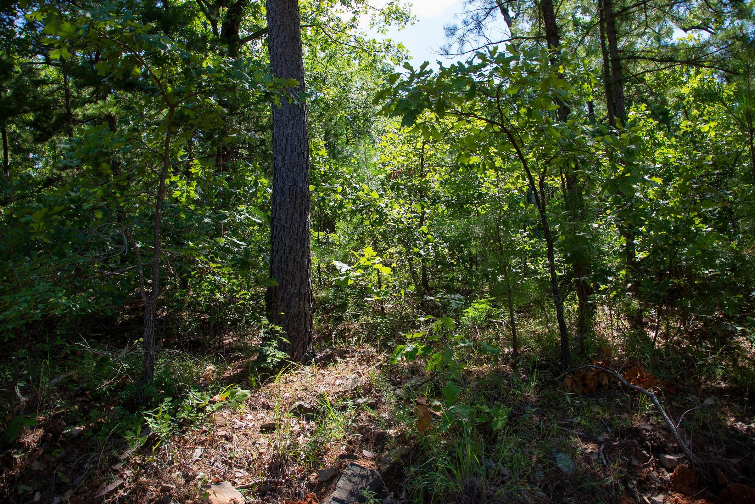 Tyler Stone Ranch Tract 70 photo 5