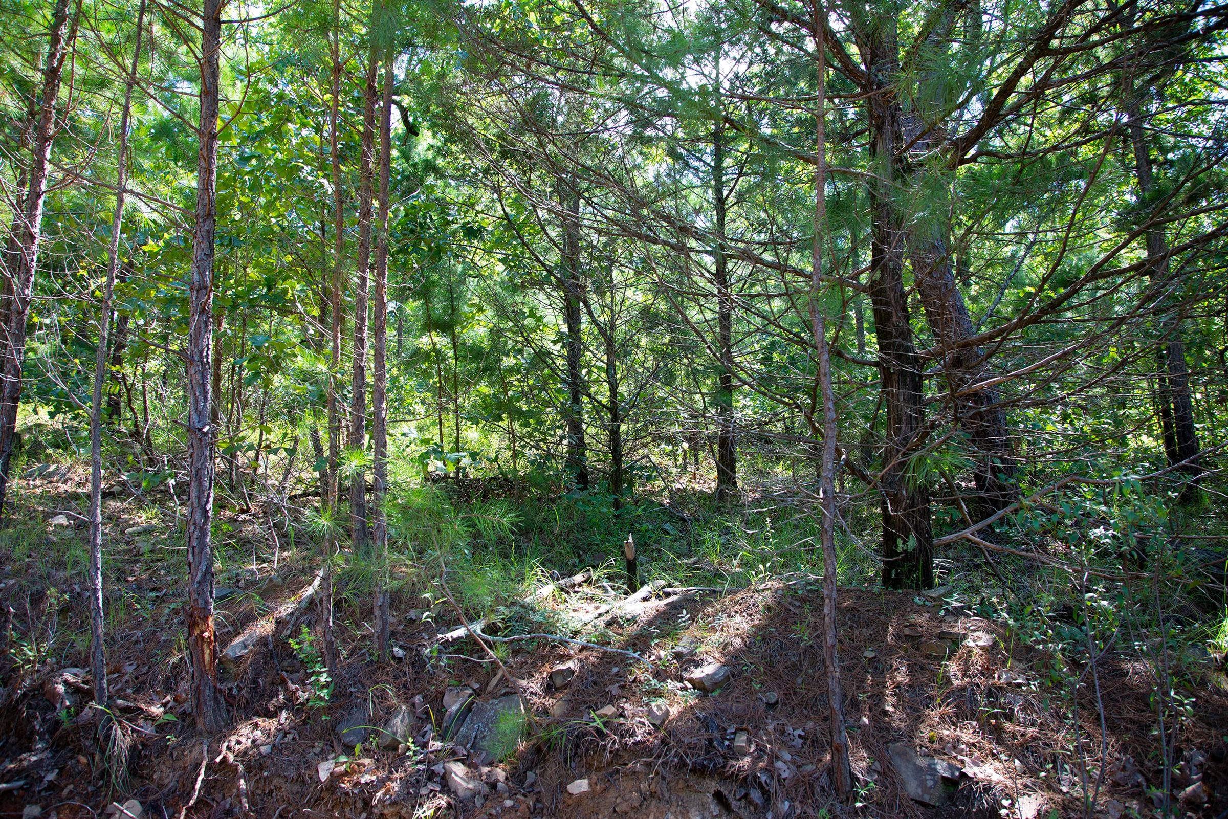 Tyler Stone Ranch Tract 70 photo 7