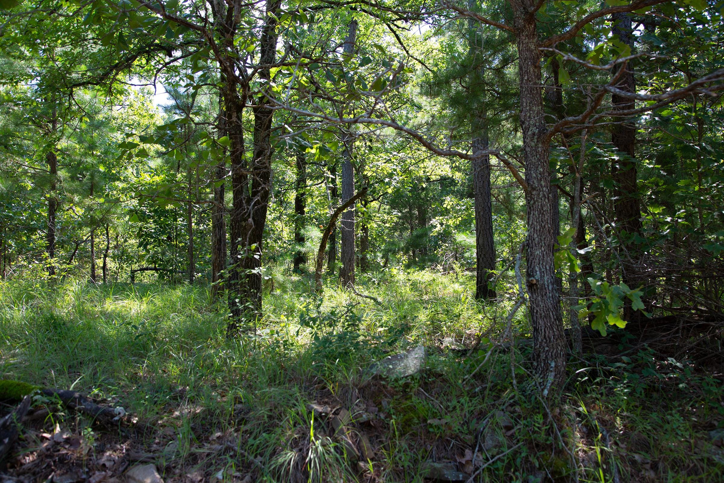 Tyler Stone Ranch Tract 70 photo 8