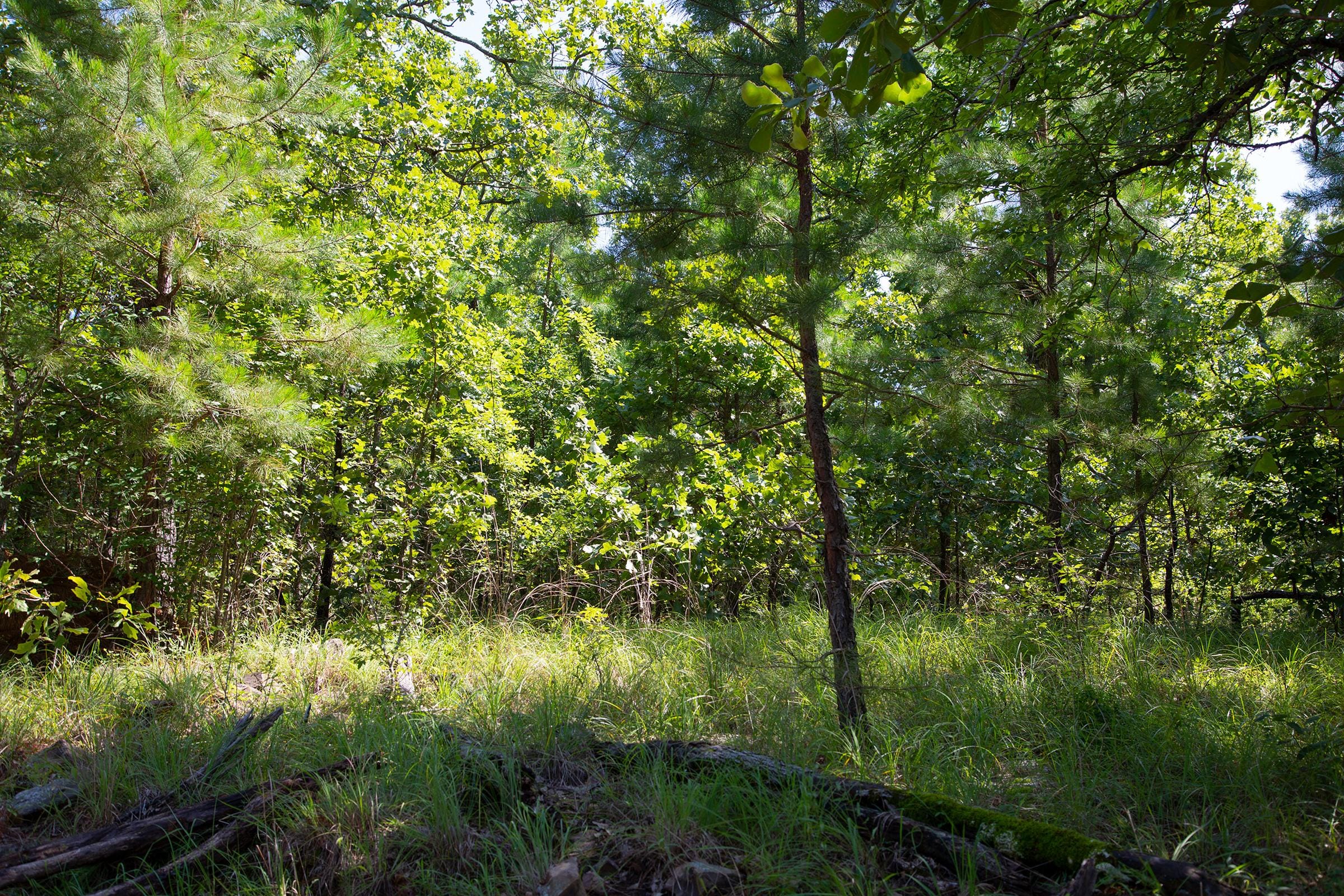 Tyler Stone Ranch Tract 70 photo 9